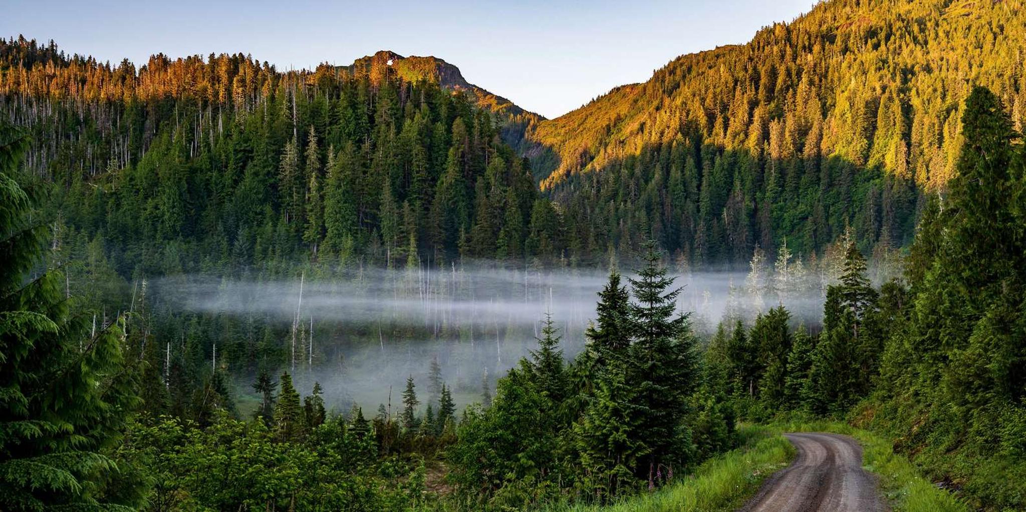 Ketchikan SUV Backcountry Adventure