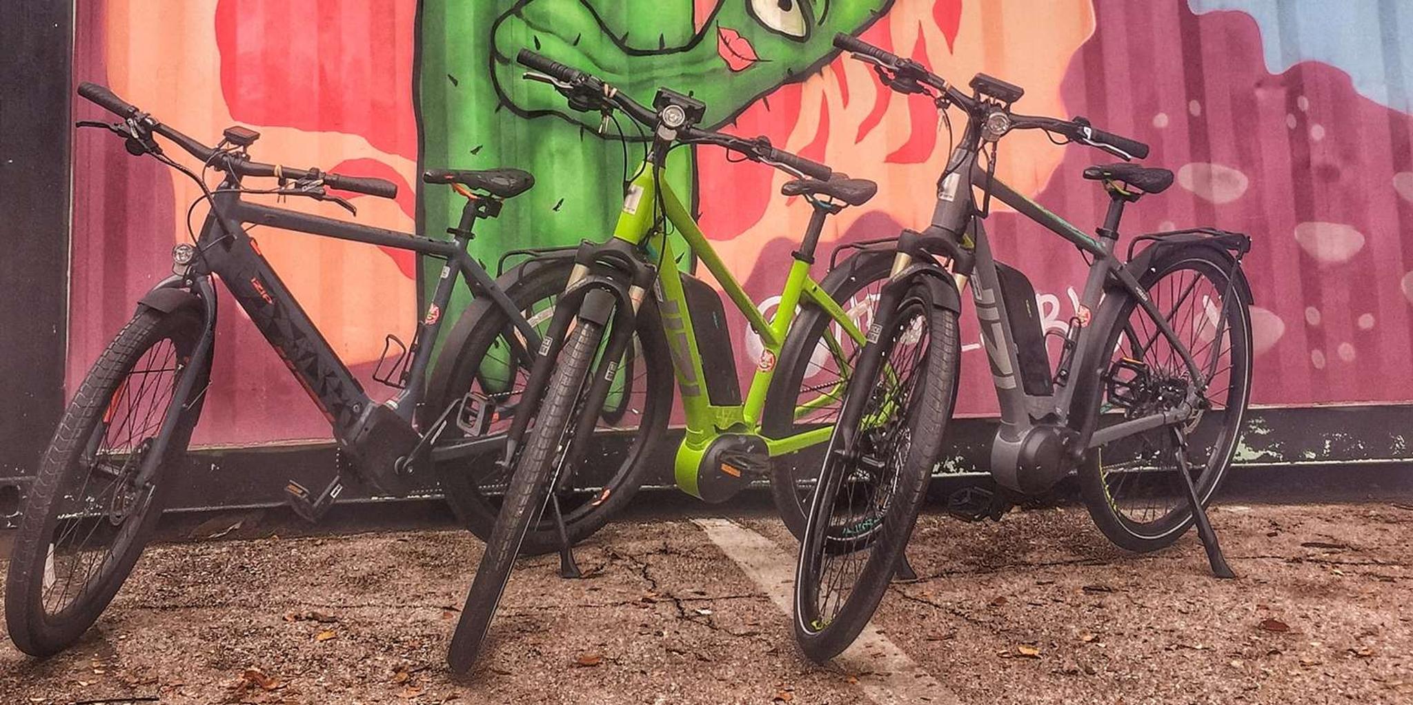 Austin Electric Bike City Sightseeing Tour
