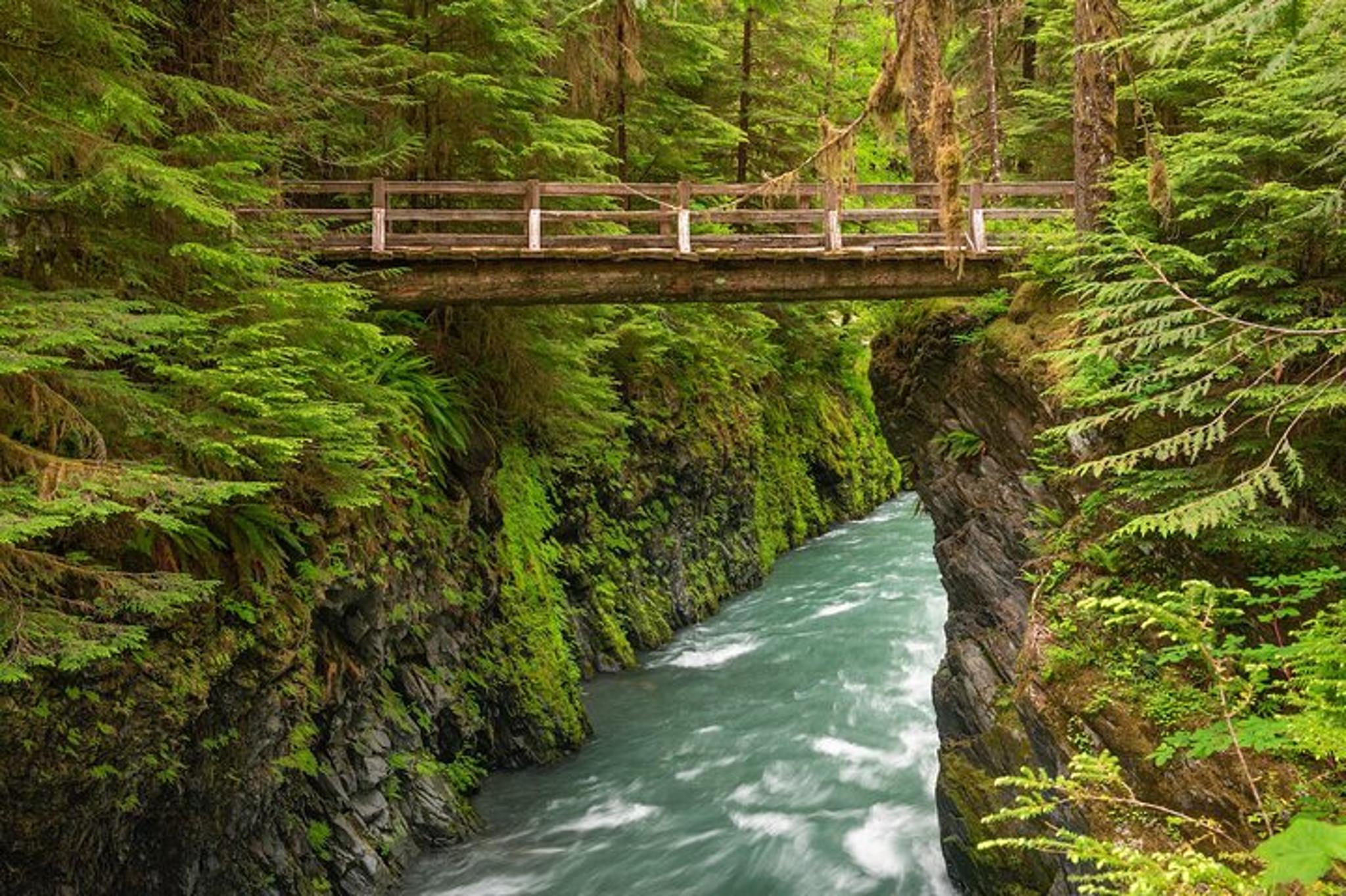 Seattle Olympic National Park Van/Ferry Tour