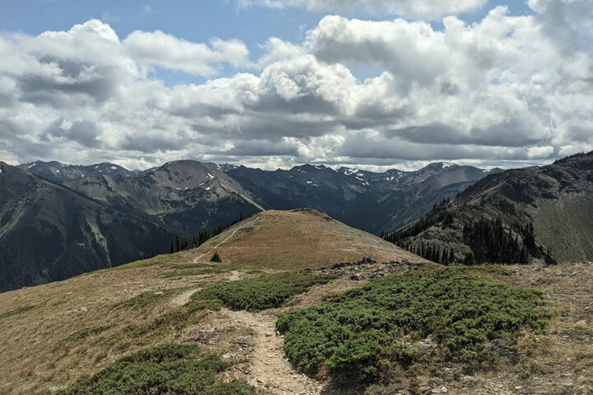 Olympic National Park Maiden Peak Day Hike