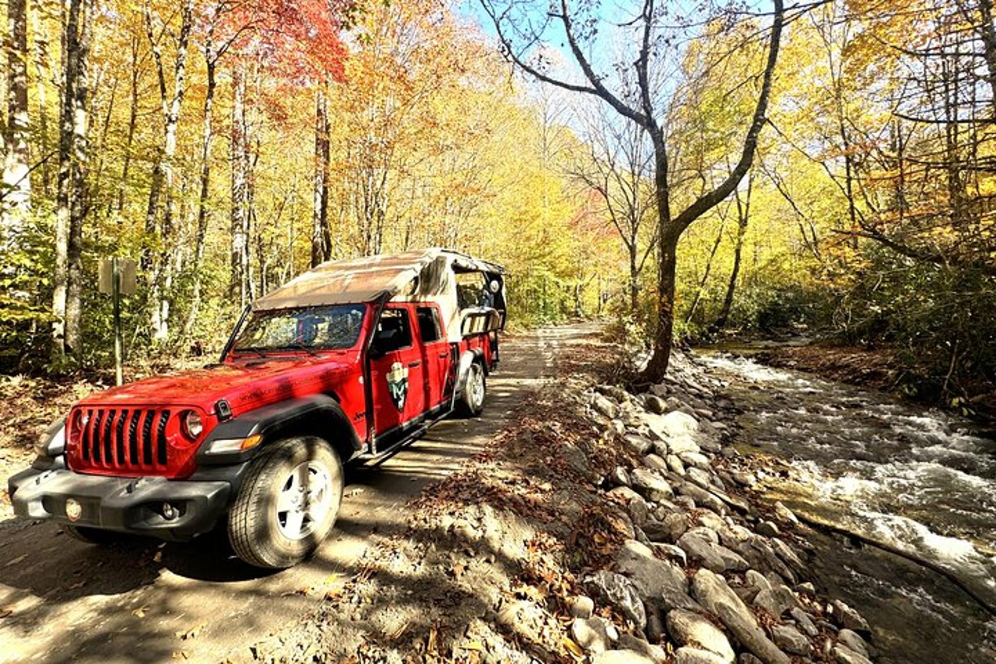 Maggie Valley Safari Tour on the Blue Ridge Parkway - Image 3