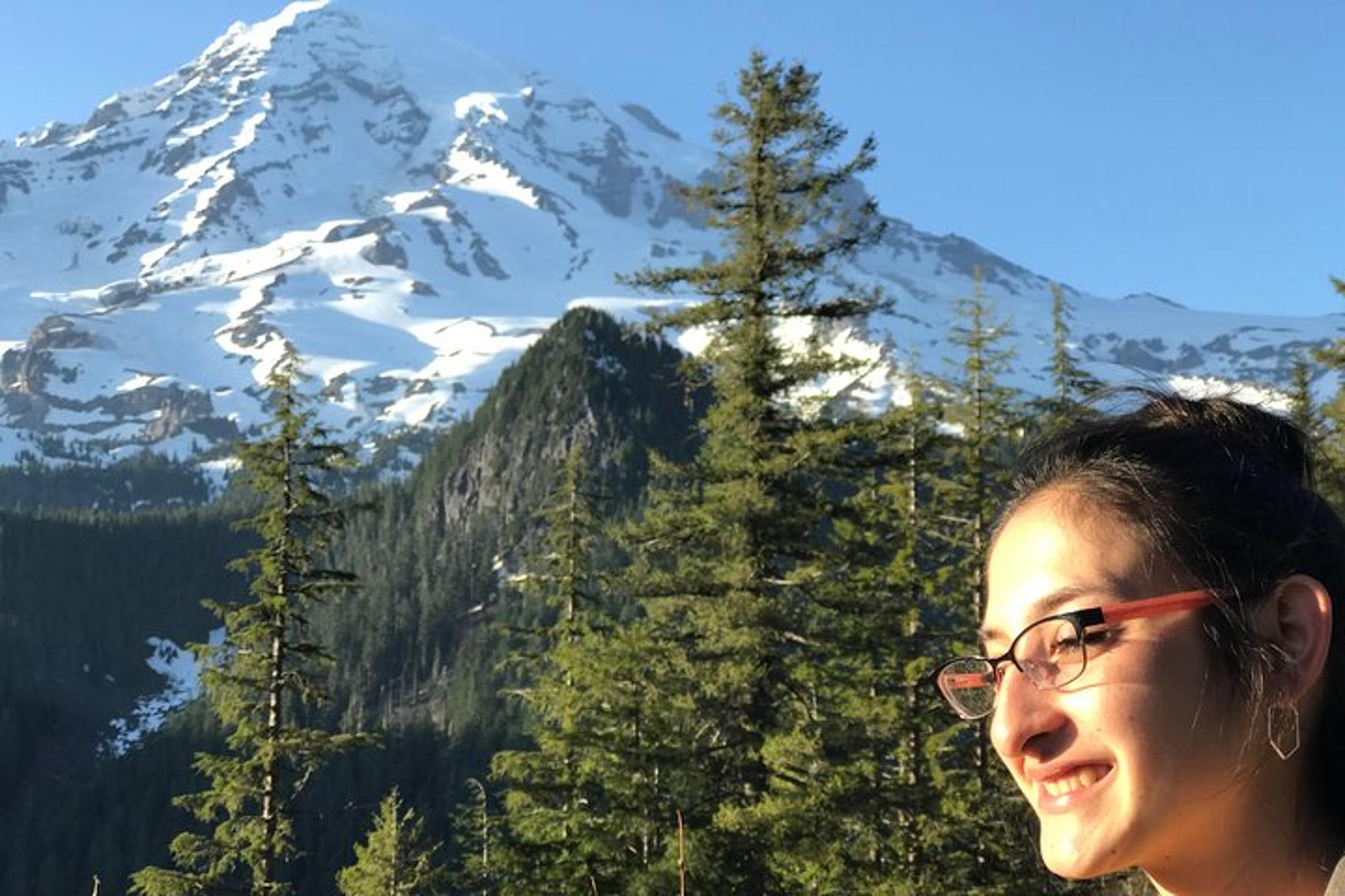 Seattle Mt Rainier National Park Private Day Trip - Image 2