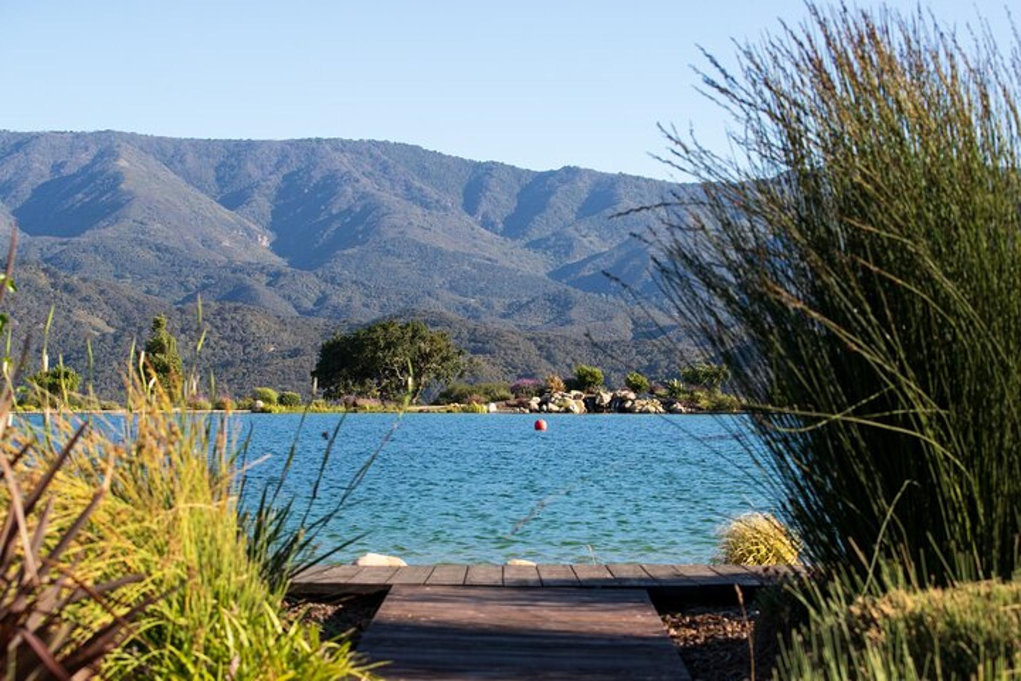Santa Ynez Vineyard Tour and Wine Tasting - Image 5