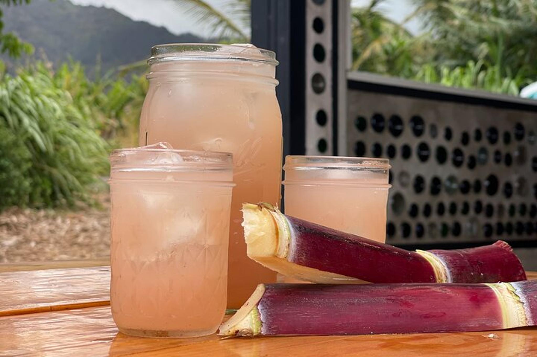 Maui Farm Tour - Image 3