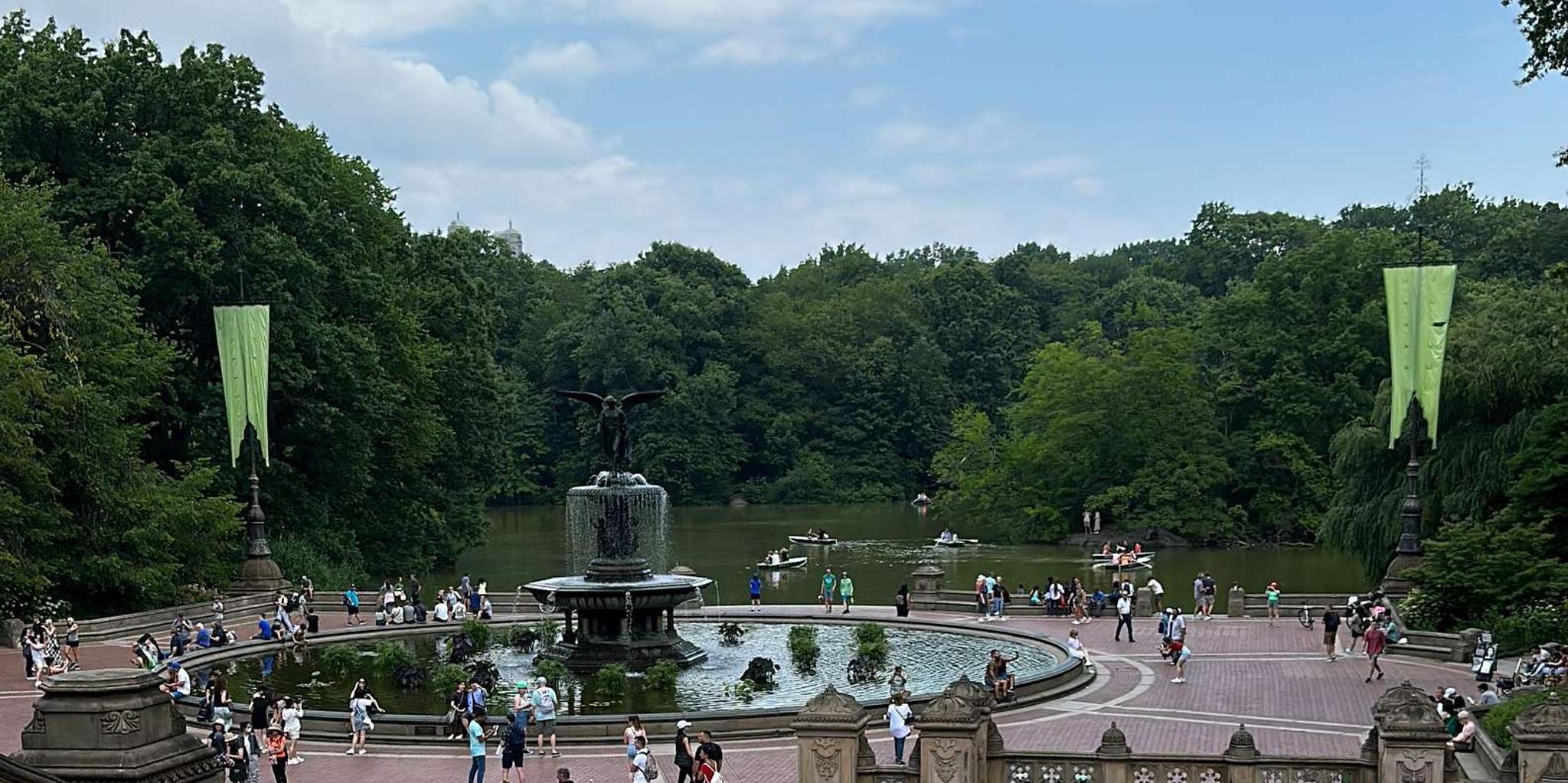 New York City Central Park Horse Carriage Ride - Image 4