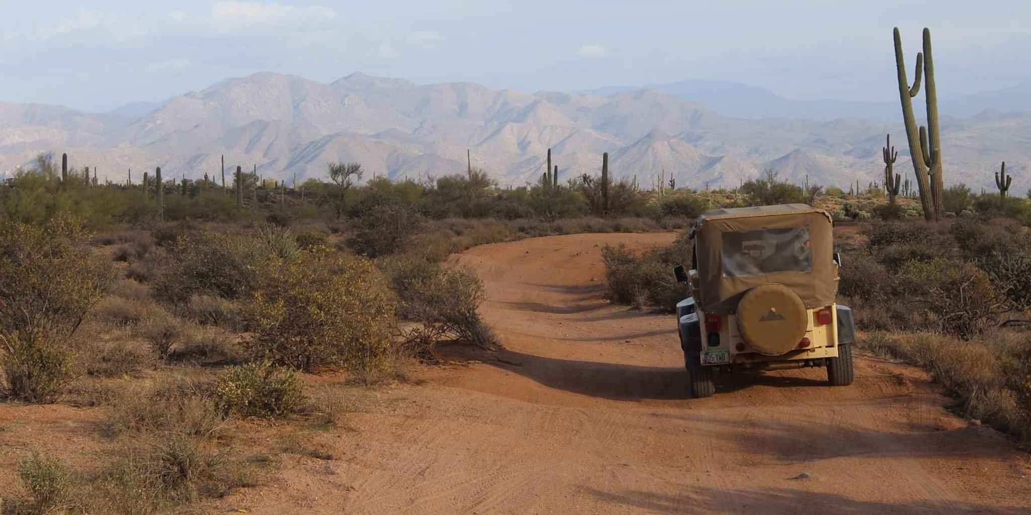Scottsdale Sonoran Desert Jeep Tour - Image 5