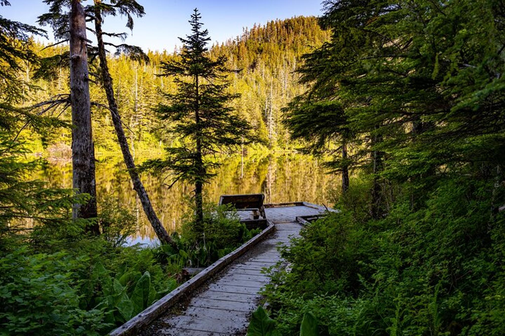 Ketchikan Mountain Lake Trek - Image 2