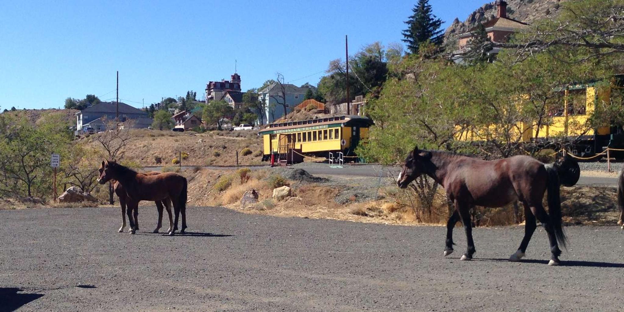 Virginia City Train Ride Day Trip from Lake Tahoe - Image 5
