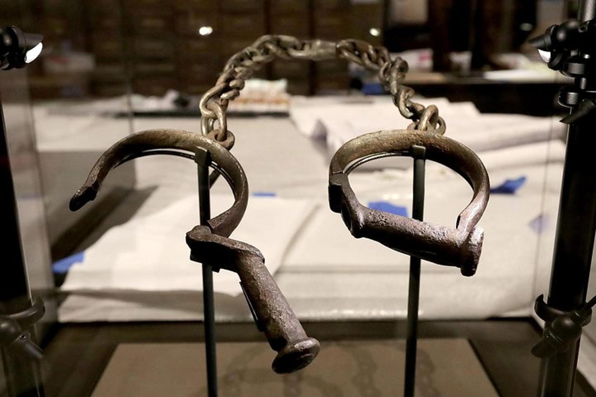 Washington DC National Archives and American History Museum Tour - Image 2