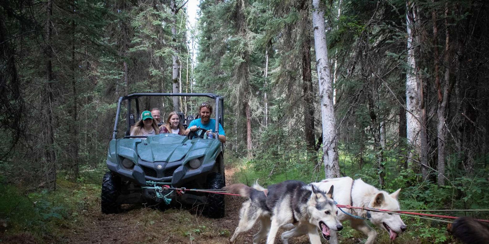 Fairbanks Mushing Cart Ride and Kennel Tour - Image 5