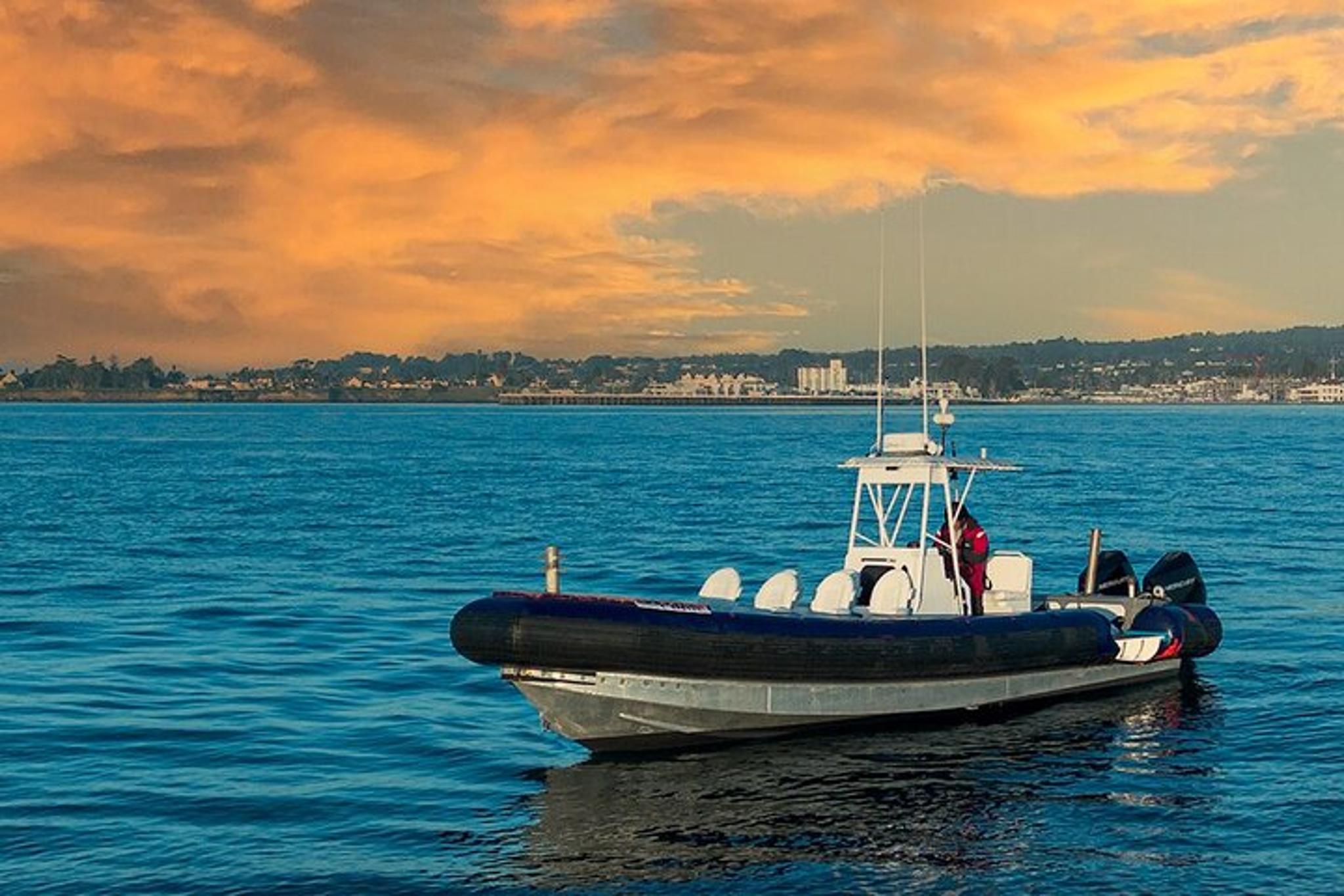Monterey Bay Shark Watching Tour - Image 3