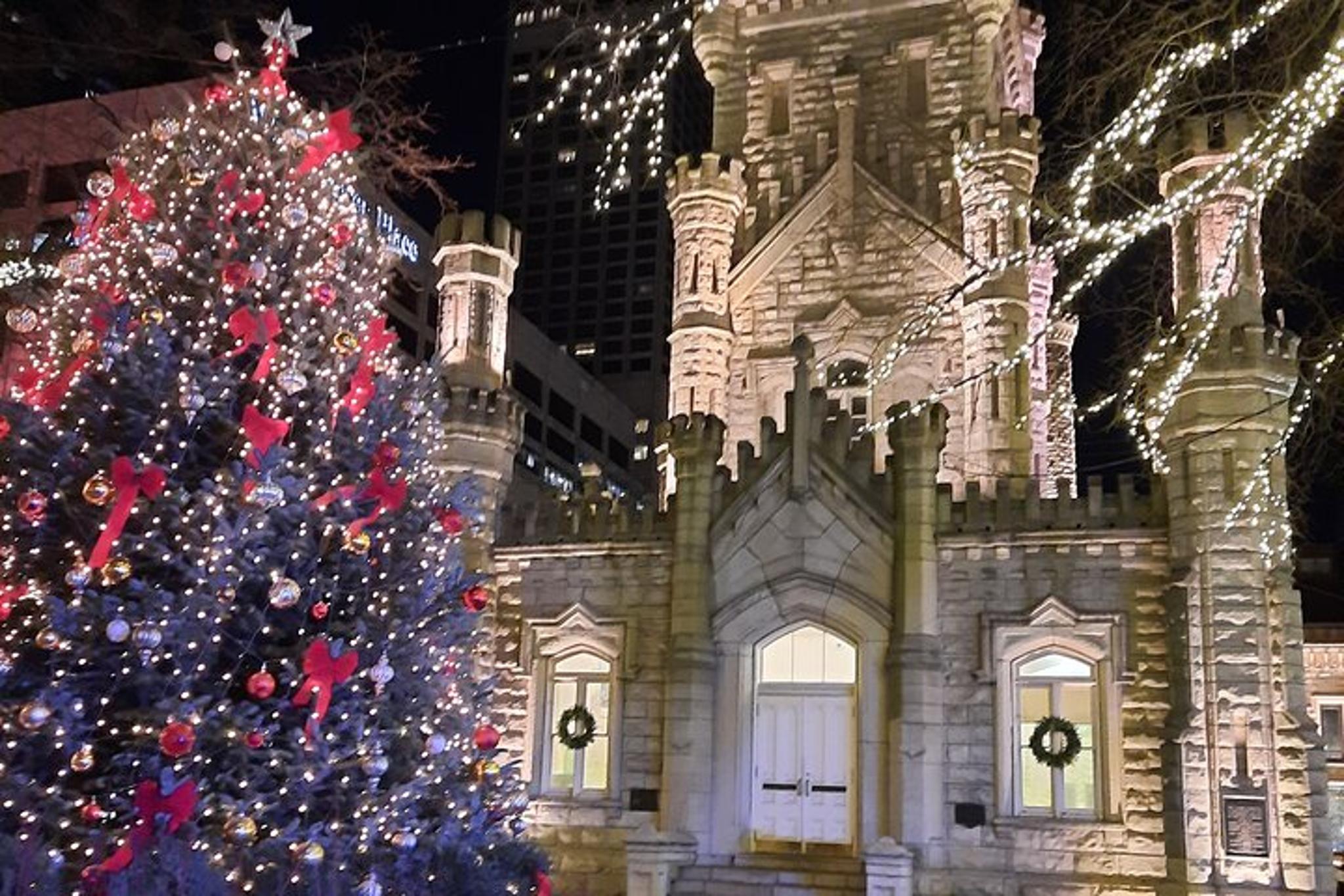 Chicago Holiday Walking Tour - Image 2