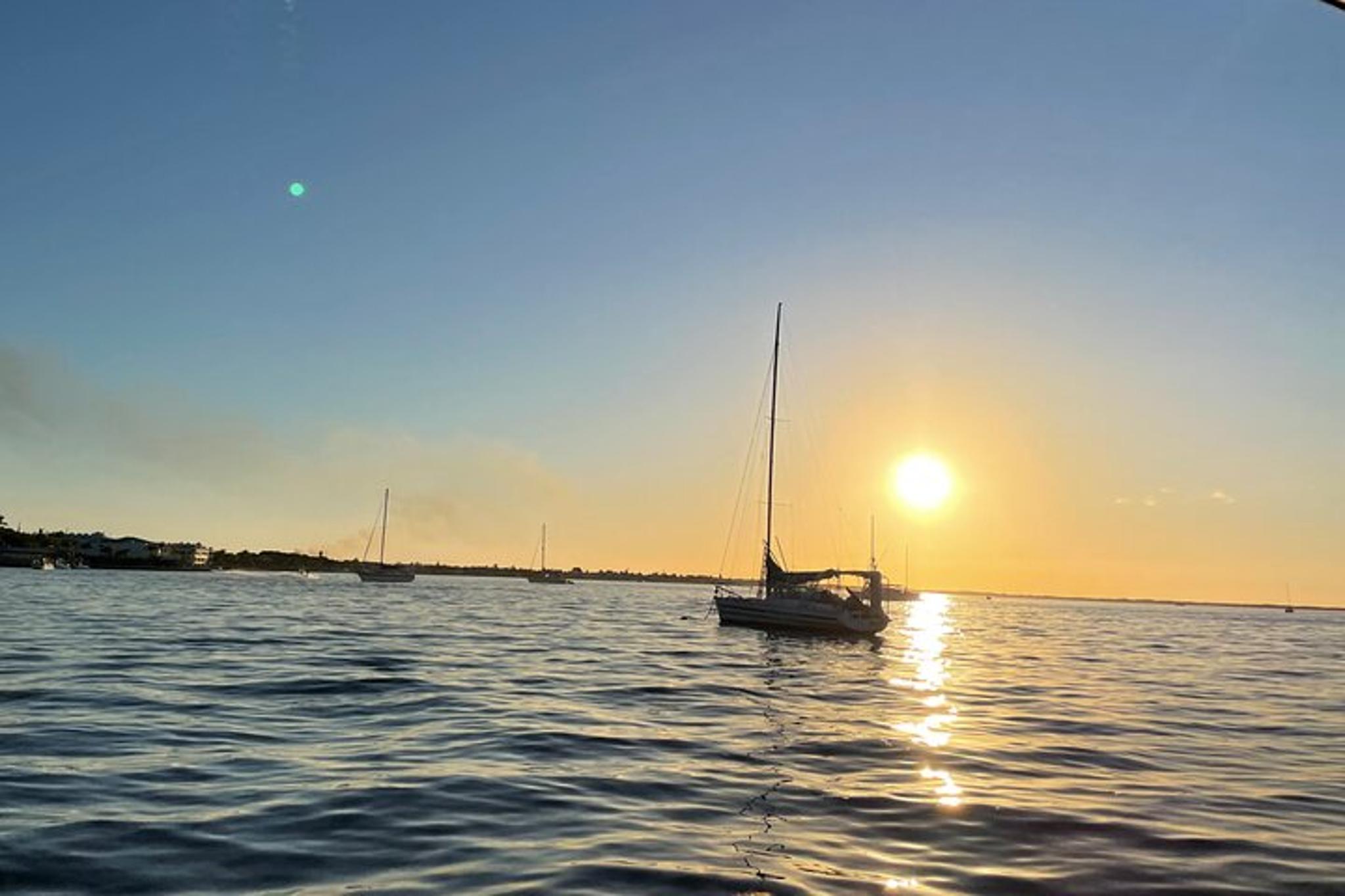 Key Largo Dolphin Sunset Tour - Image 6