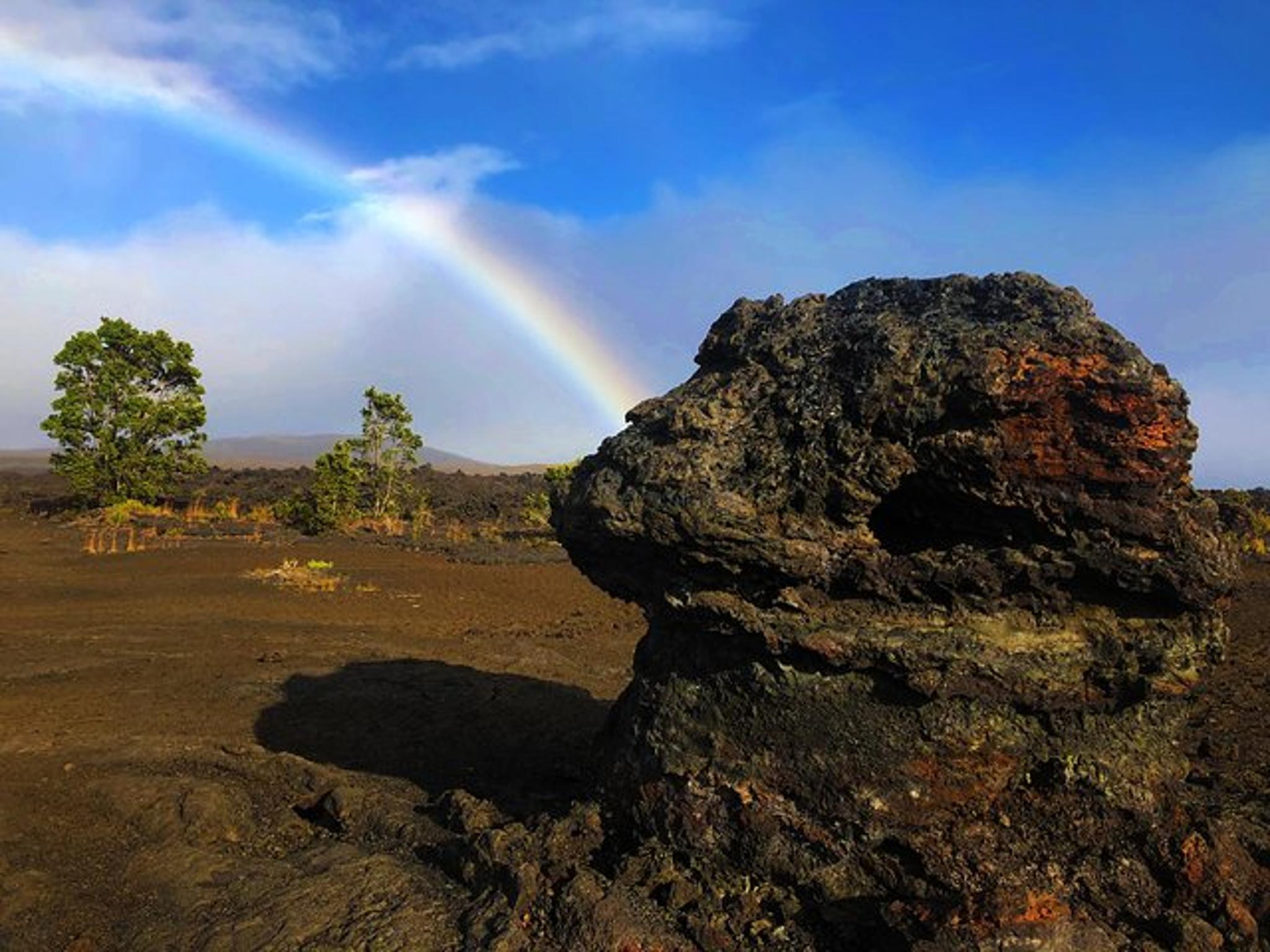 Hawaii Volcanoes National Park Eco Tour - Image 4