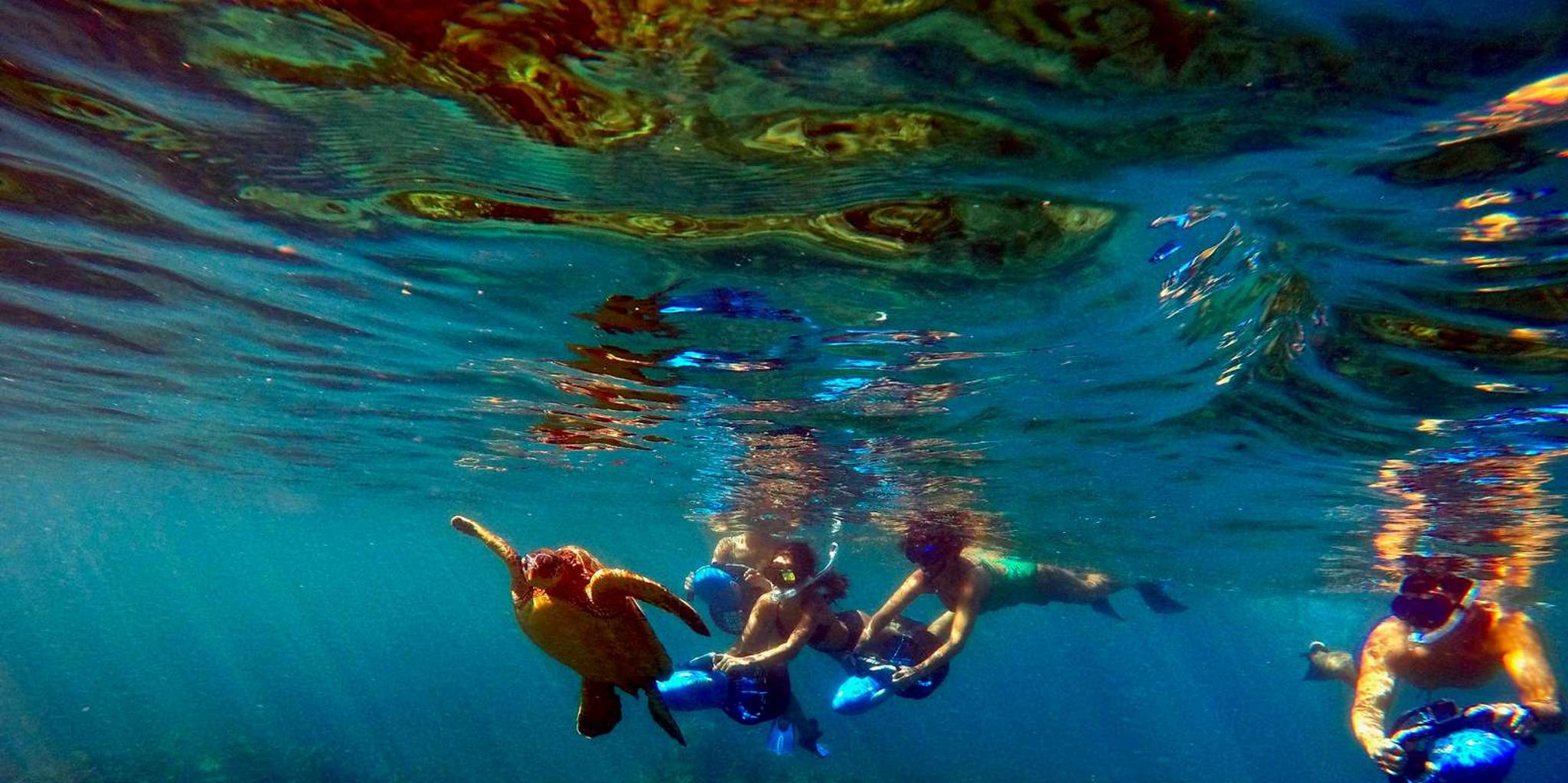 Wailea Beach Sea Scooter Snorkeling Tour - Image 4