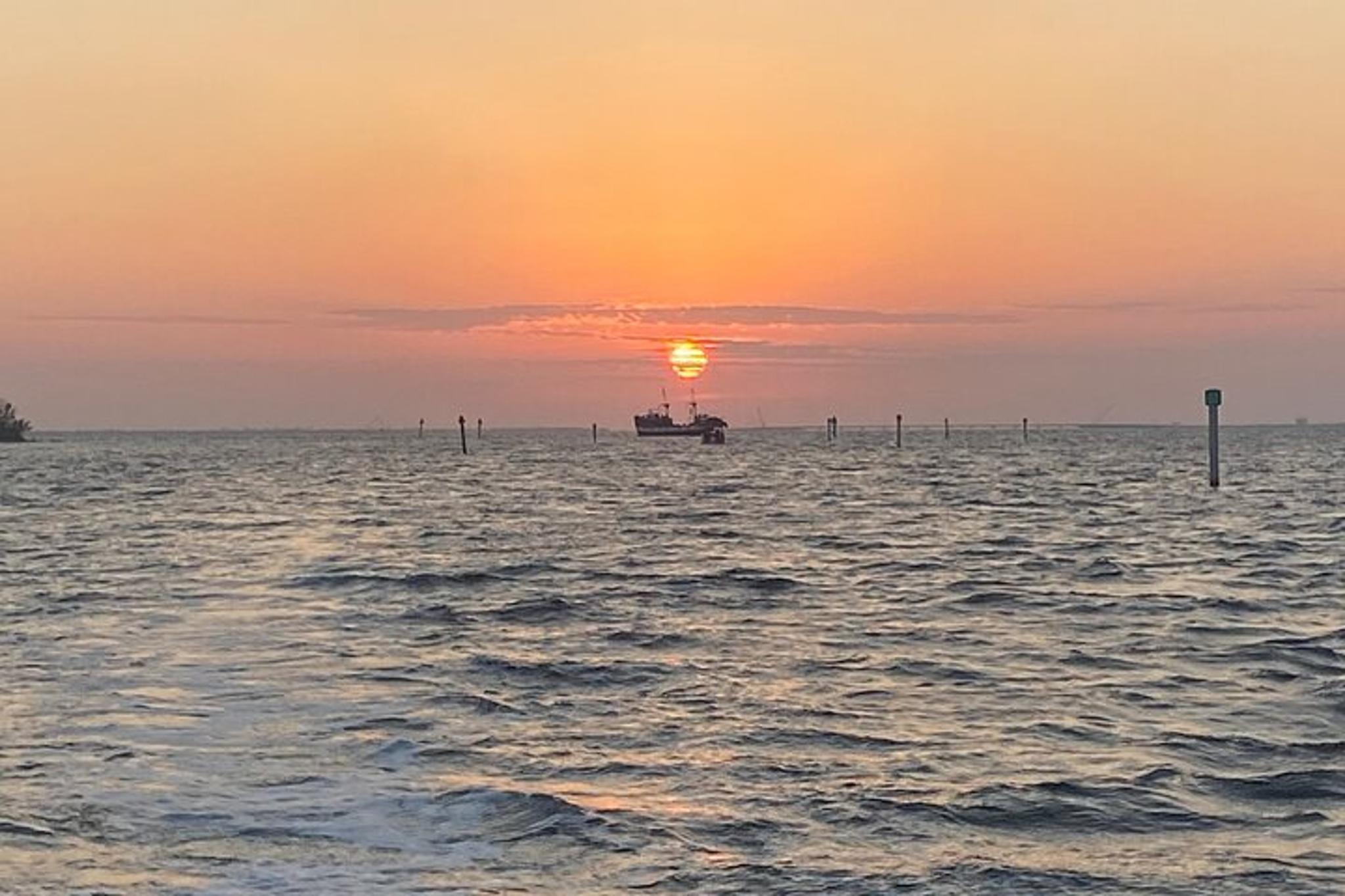 Fort Myers Beach Dolphin Cruise at Sunset 2 hr - Image 3