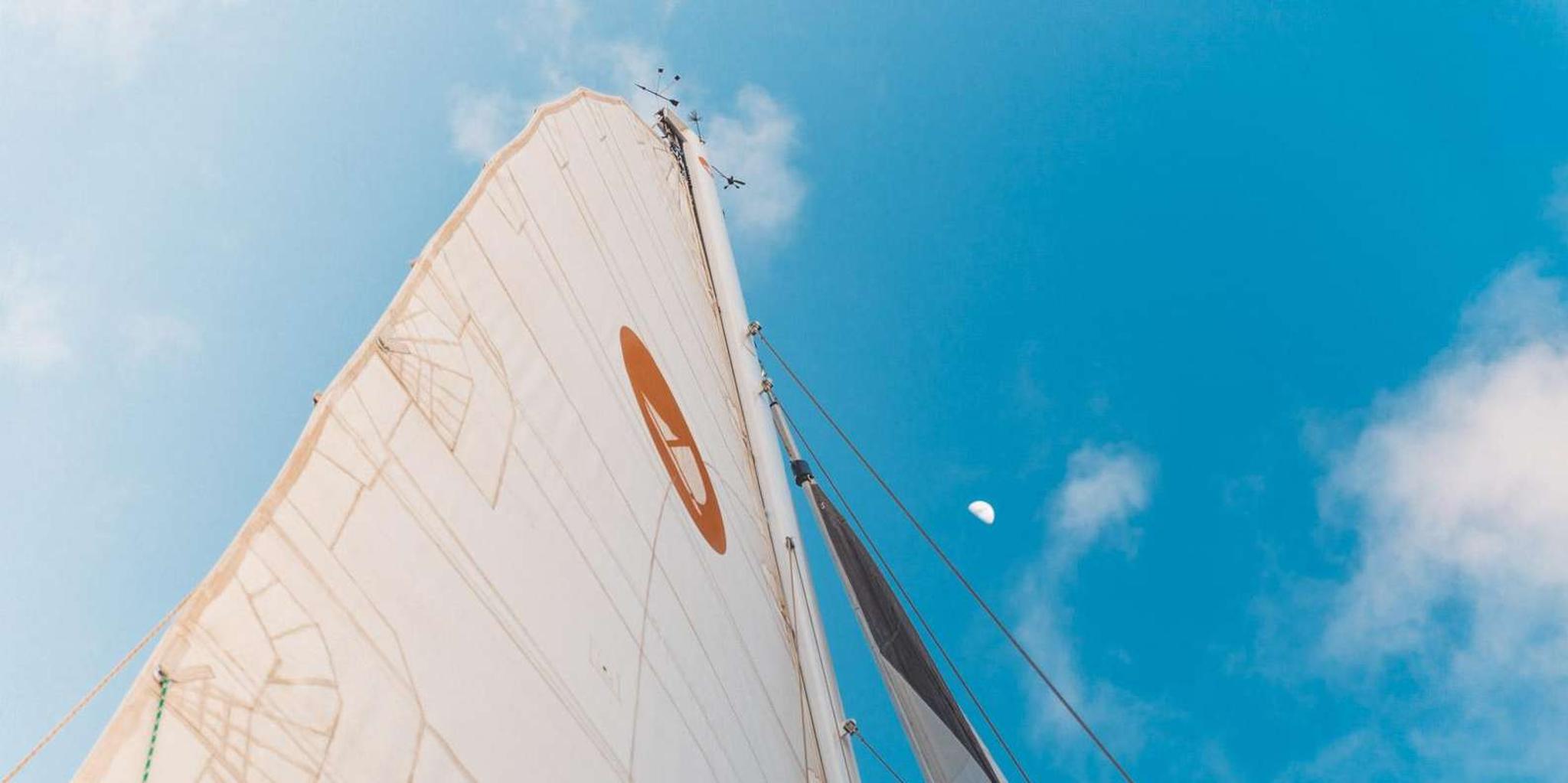 Maui Sunset Sail and Whale Watch - Image 6