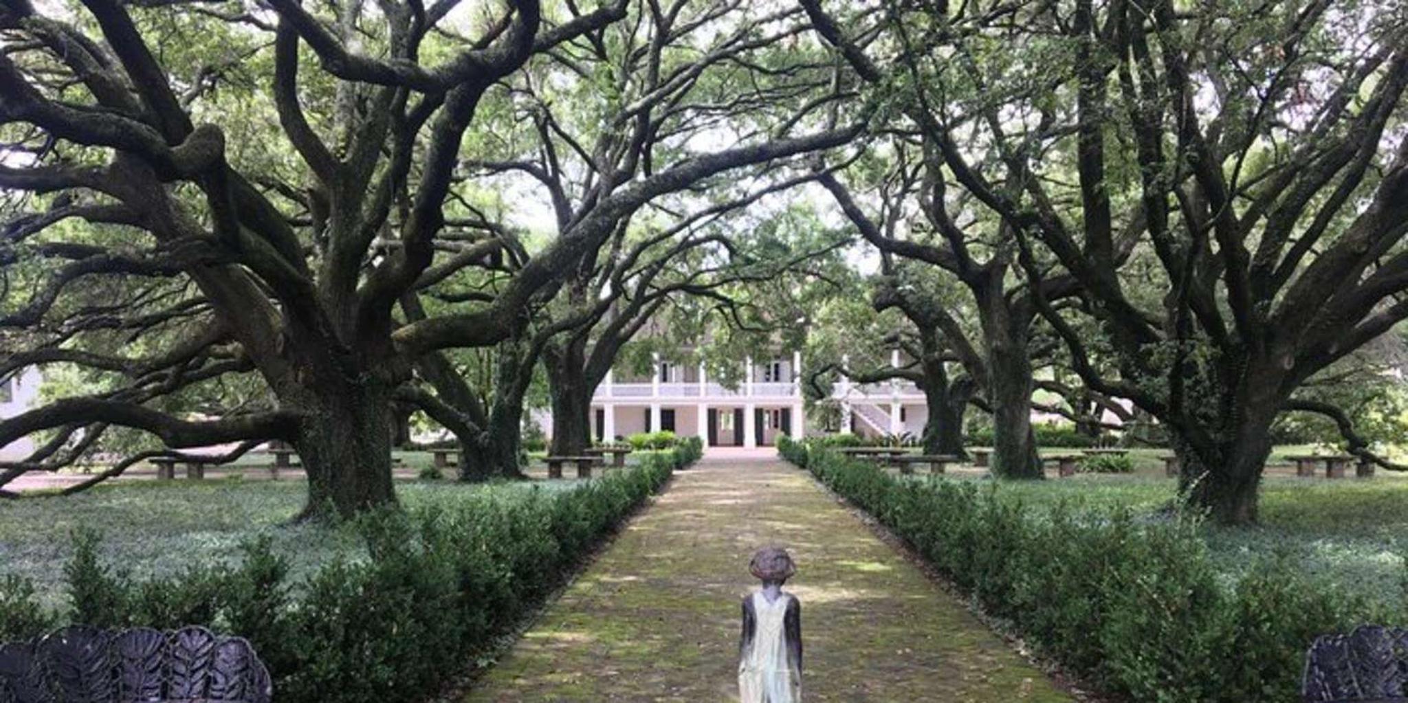 New Orleans Whitney Plantation Tour with Transfers