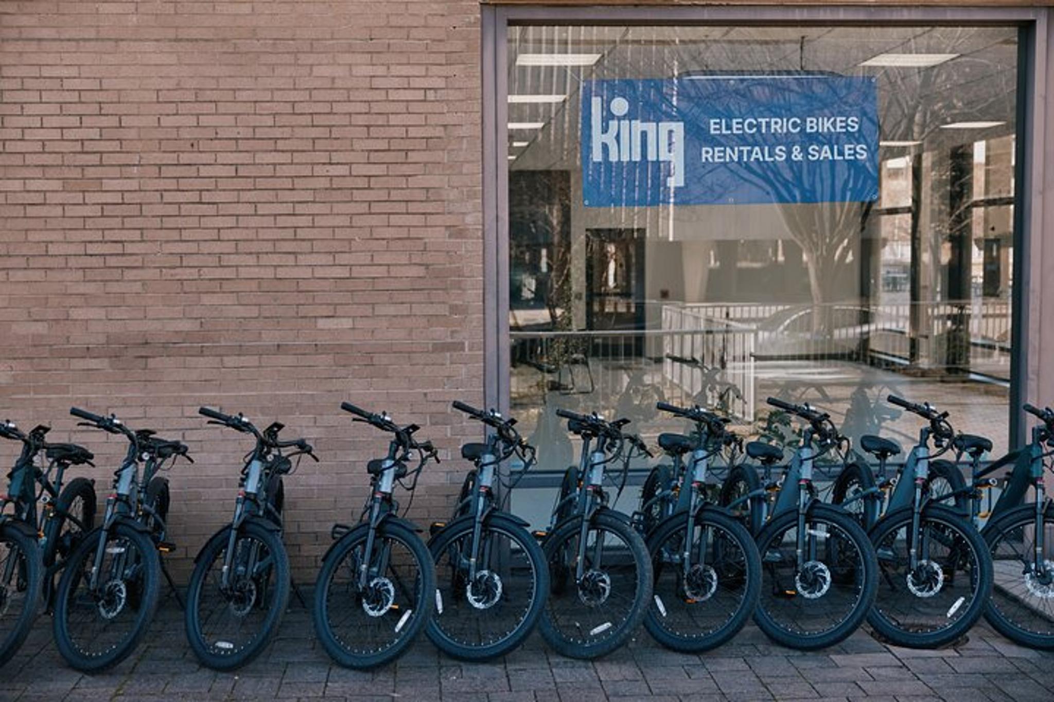 Washington Electric Bike Rental - Image 3