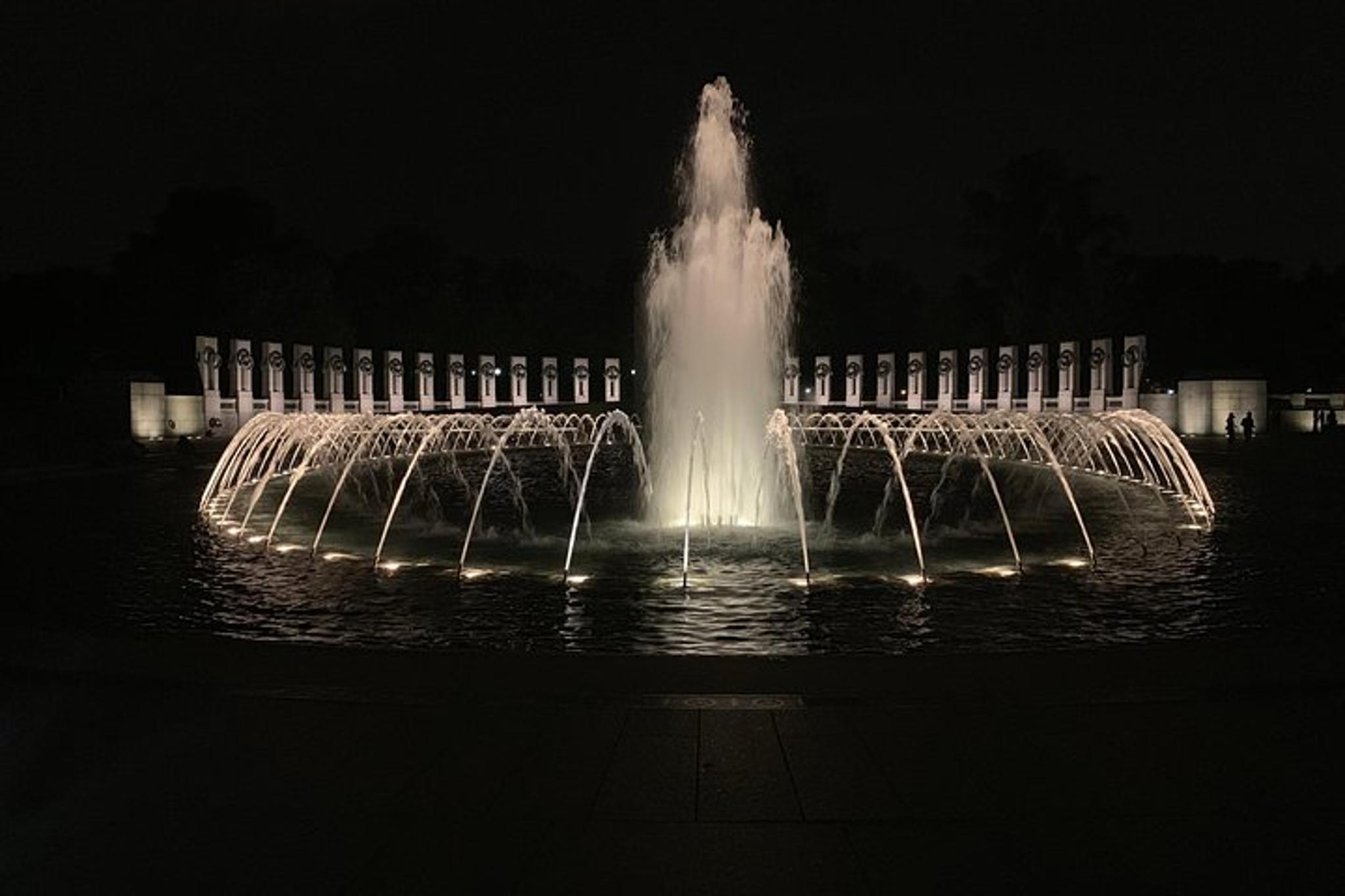 Washington DC Highlight Tour by Van - Image 4
