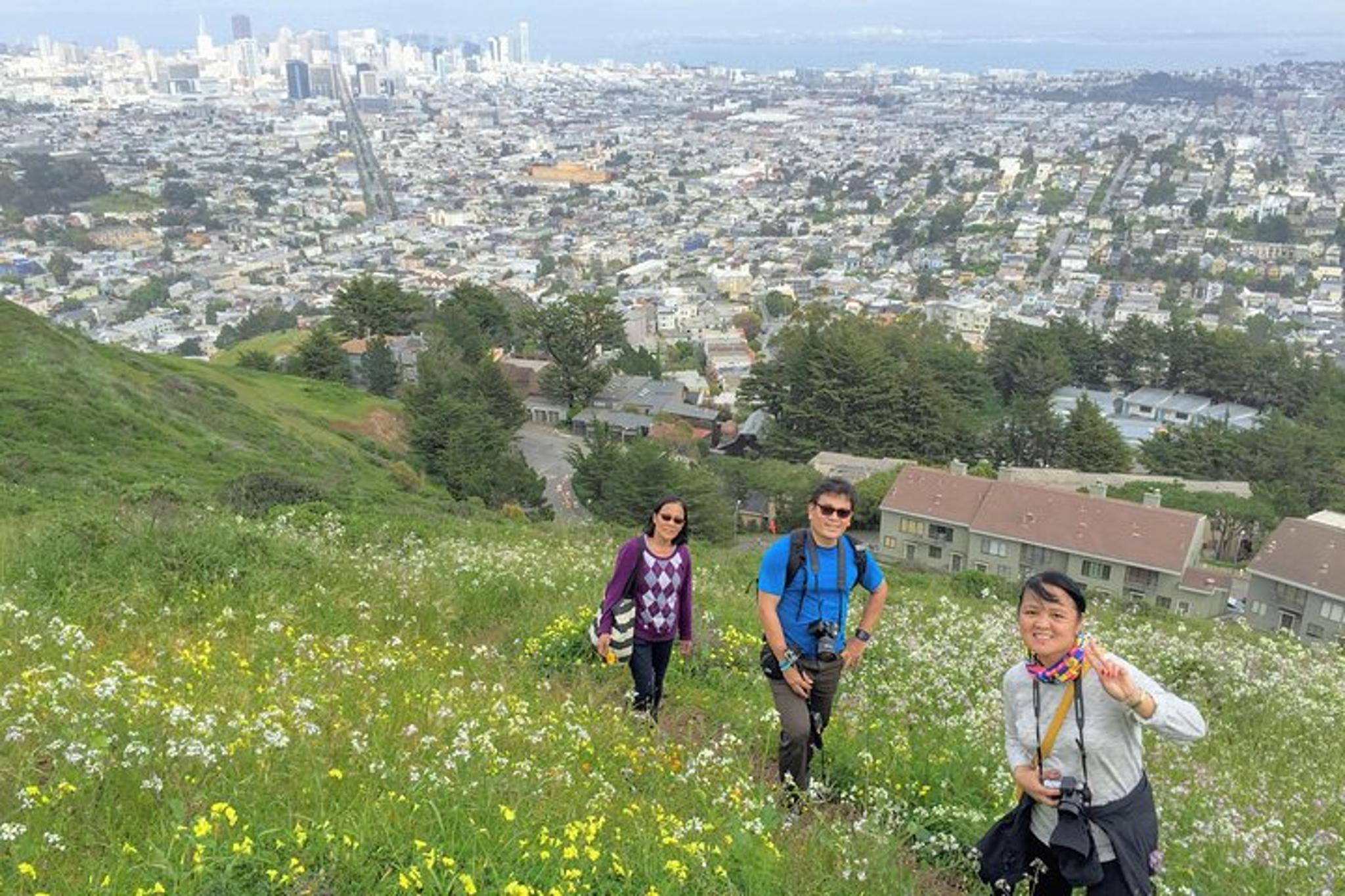San Francisco Urban Hike: Castro and Twin Peaks - Image 1