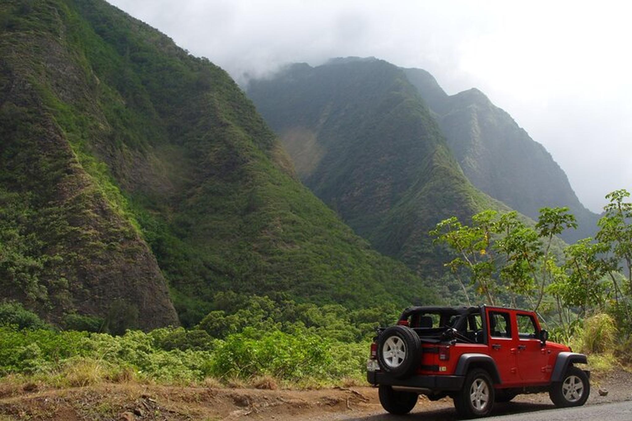 Maui Waterfall Hiking Tour in Private Jeep - Image 2