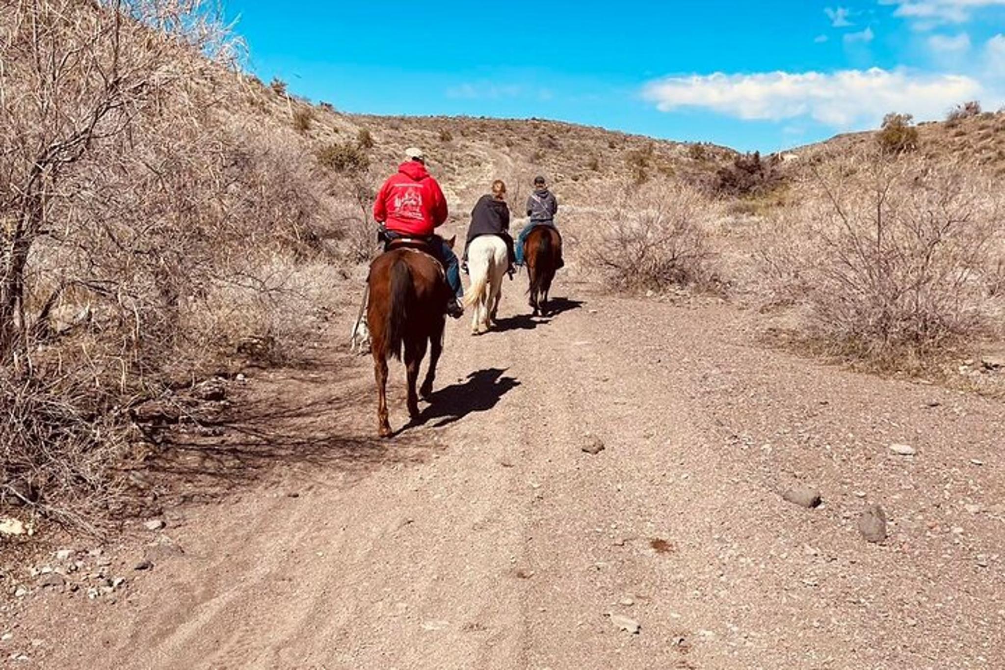 Laughlin Horseback Riding Tour with Scenic Views - Image 4