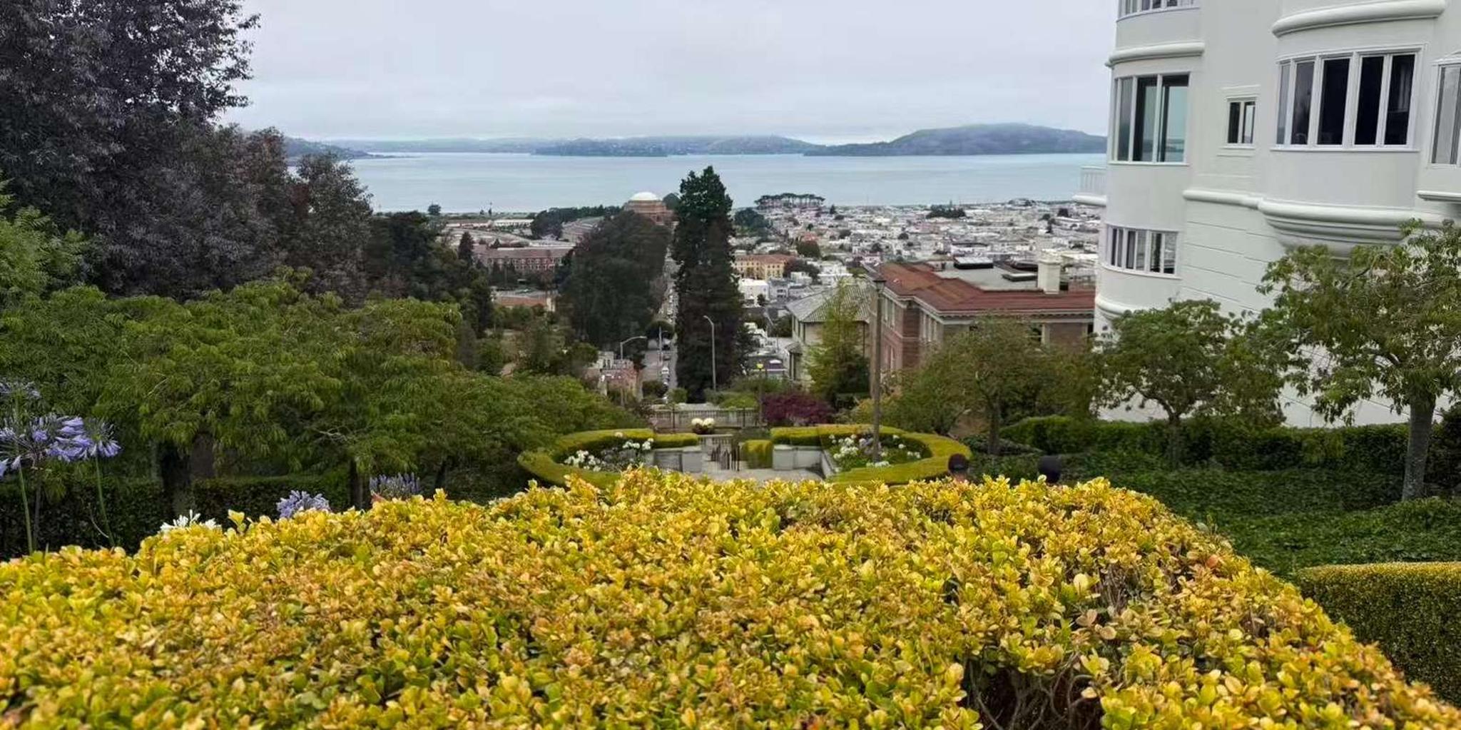 San Francisco Muir Woods and Sausalito Tour - Image 5