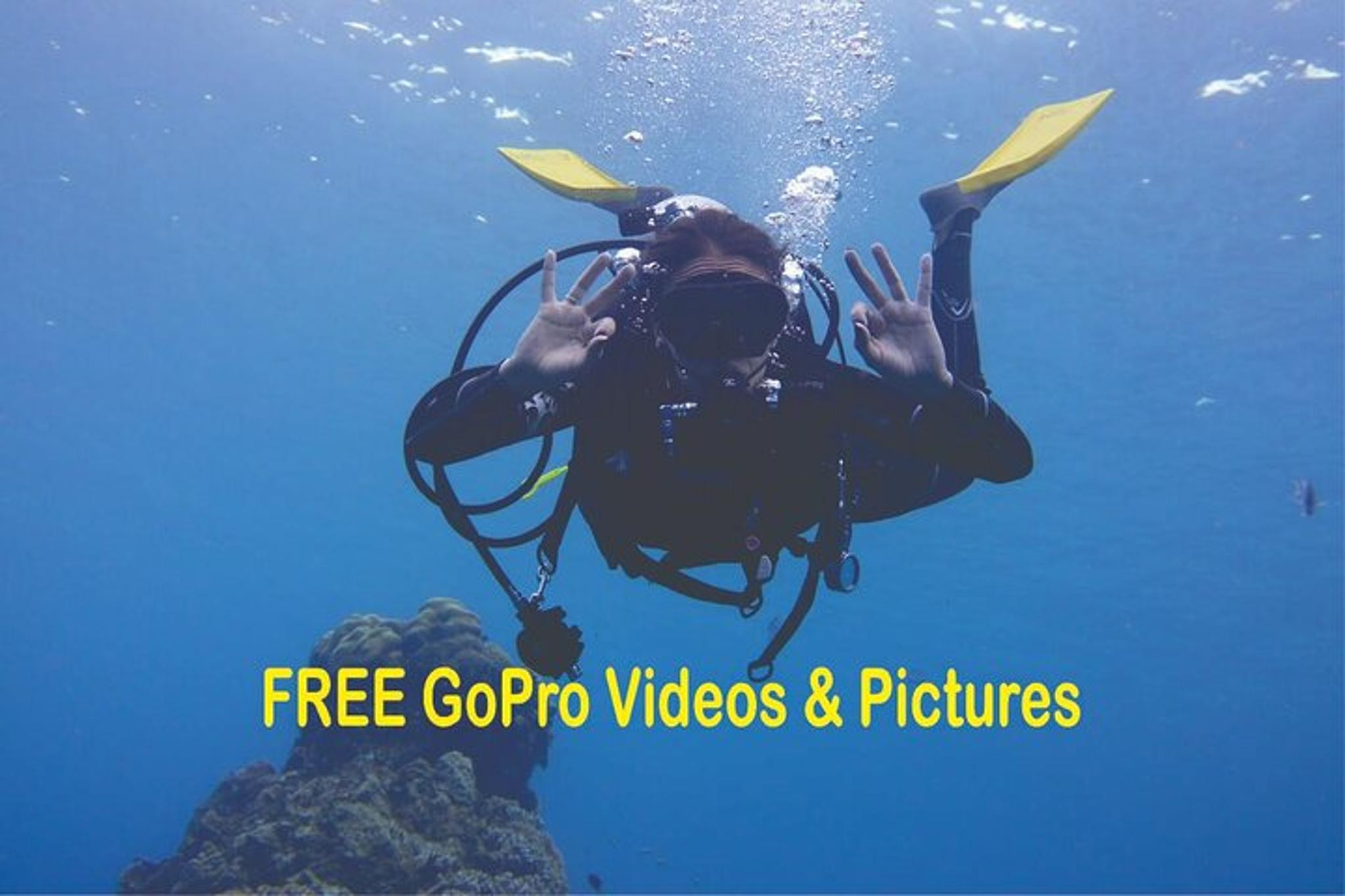 Panama City Scuba Diving for Beginners - Image 2
