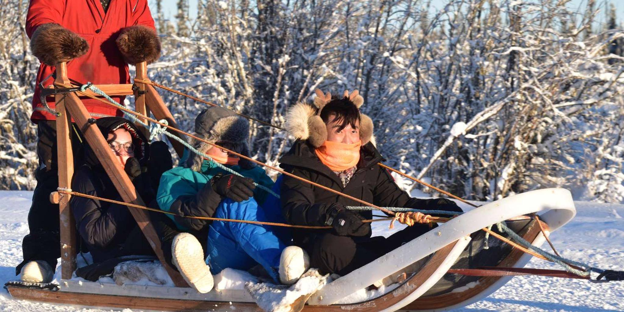 North Pole Dog Sledding Experience - Image 6