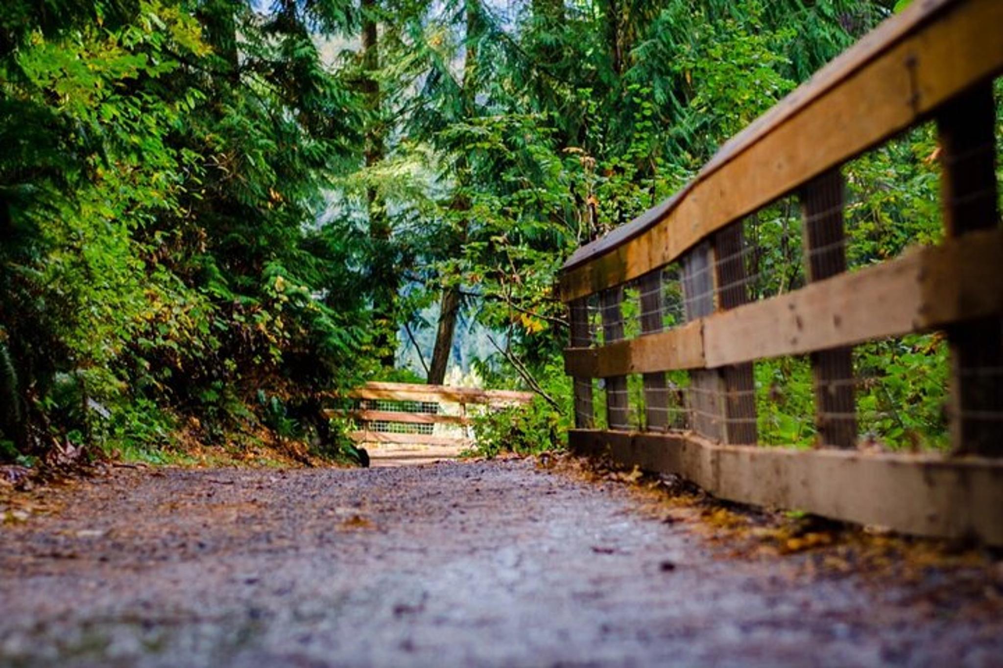 Snoqualmie Falls & Railway Museum Tour 3 hr - Image 2