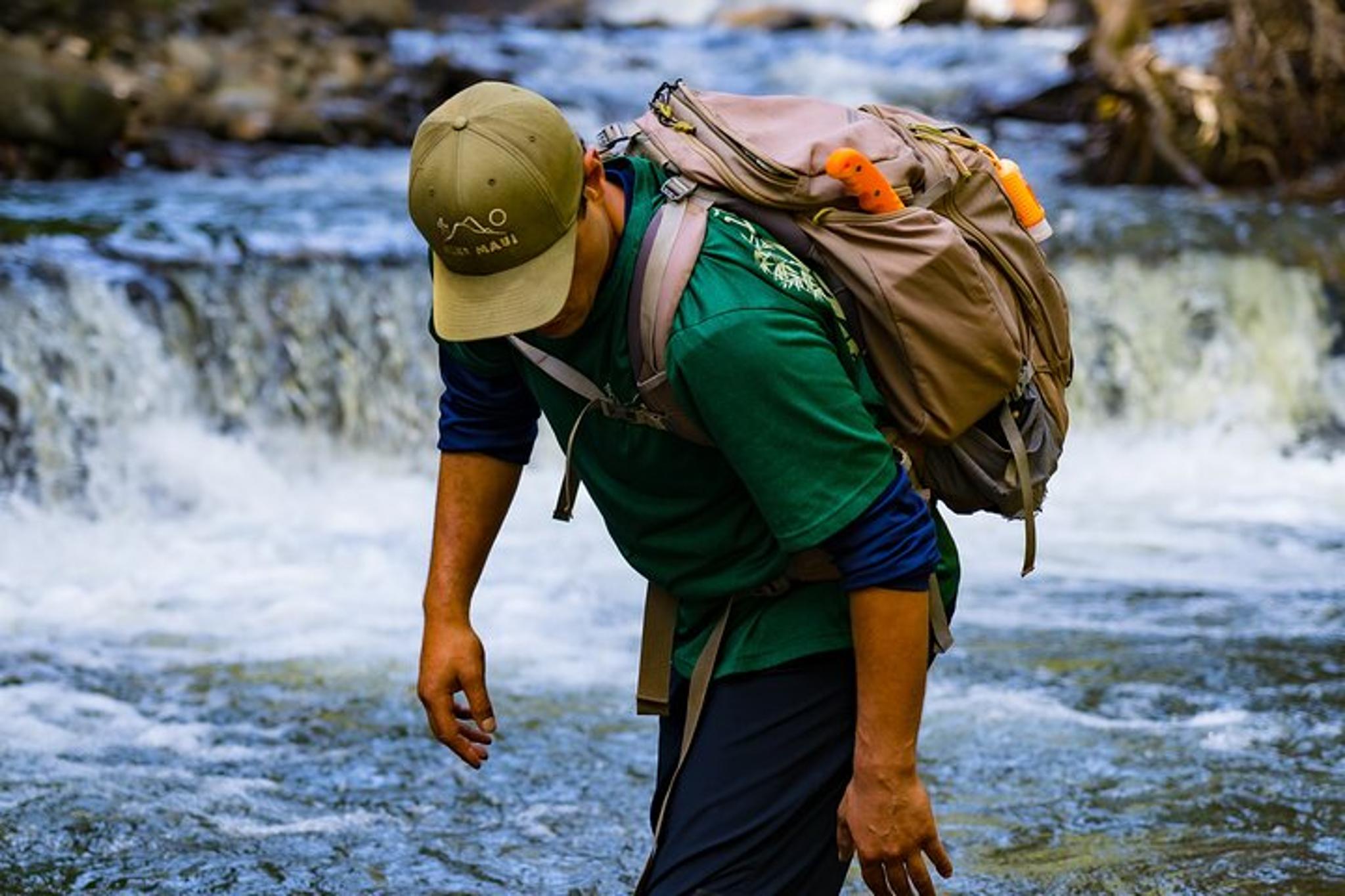 Maui Waterfall & Rainforest Hiking Adventure - Image 4