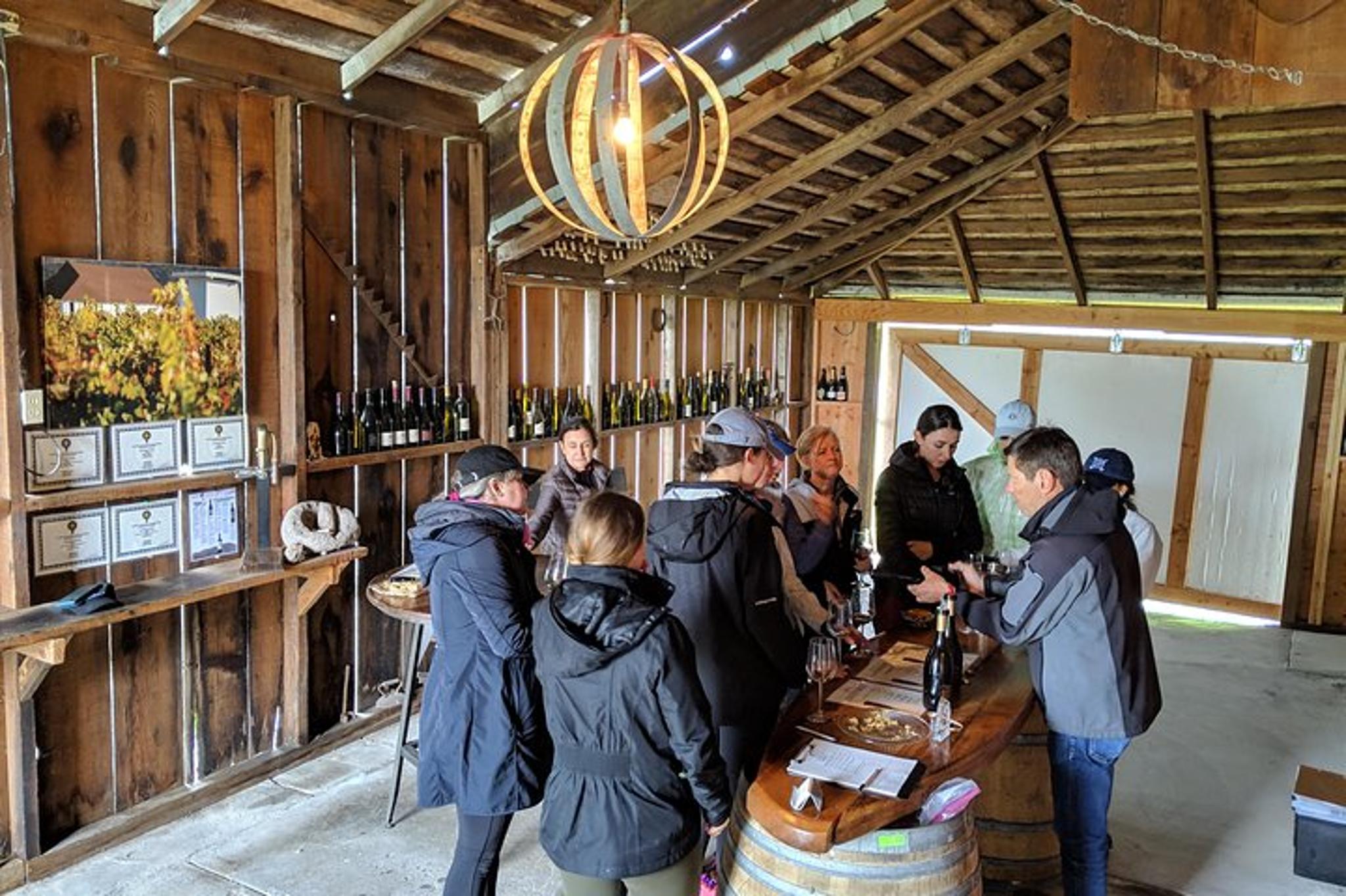 Sonoma Valley Pedal Assist Bike Tour with Lunch - Image 6