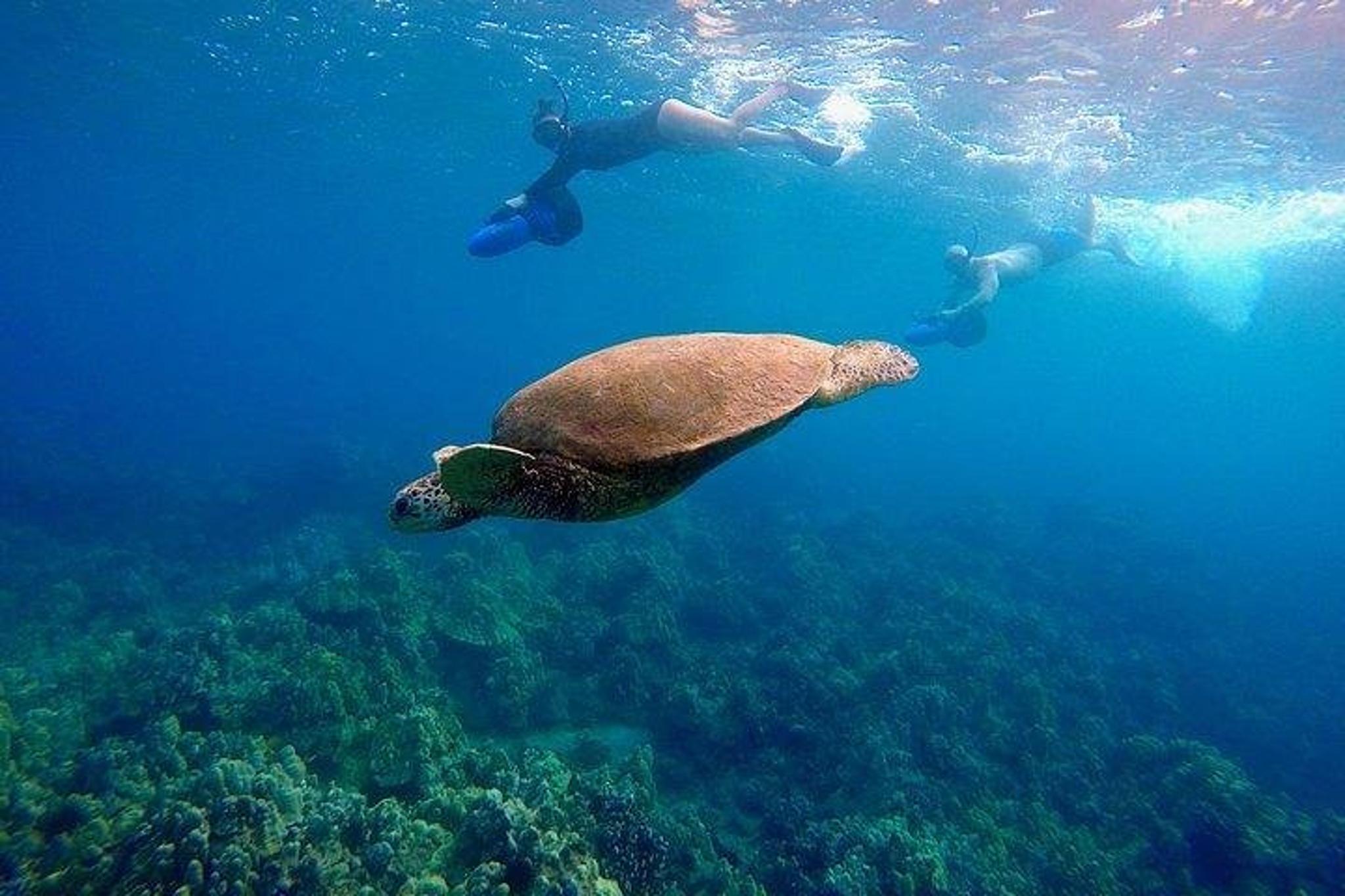 Maui Underwater Scooter Snorkeling Tour - Image 5