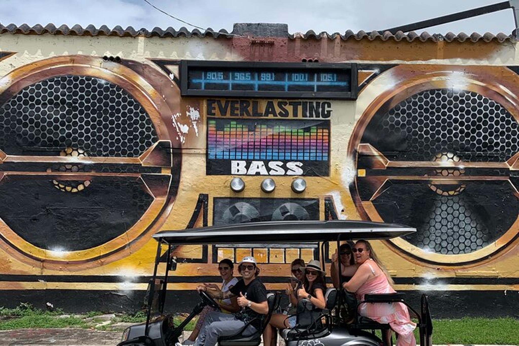 Miami Street Art Tour in Wynwood 1 hr - Image 2