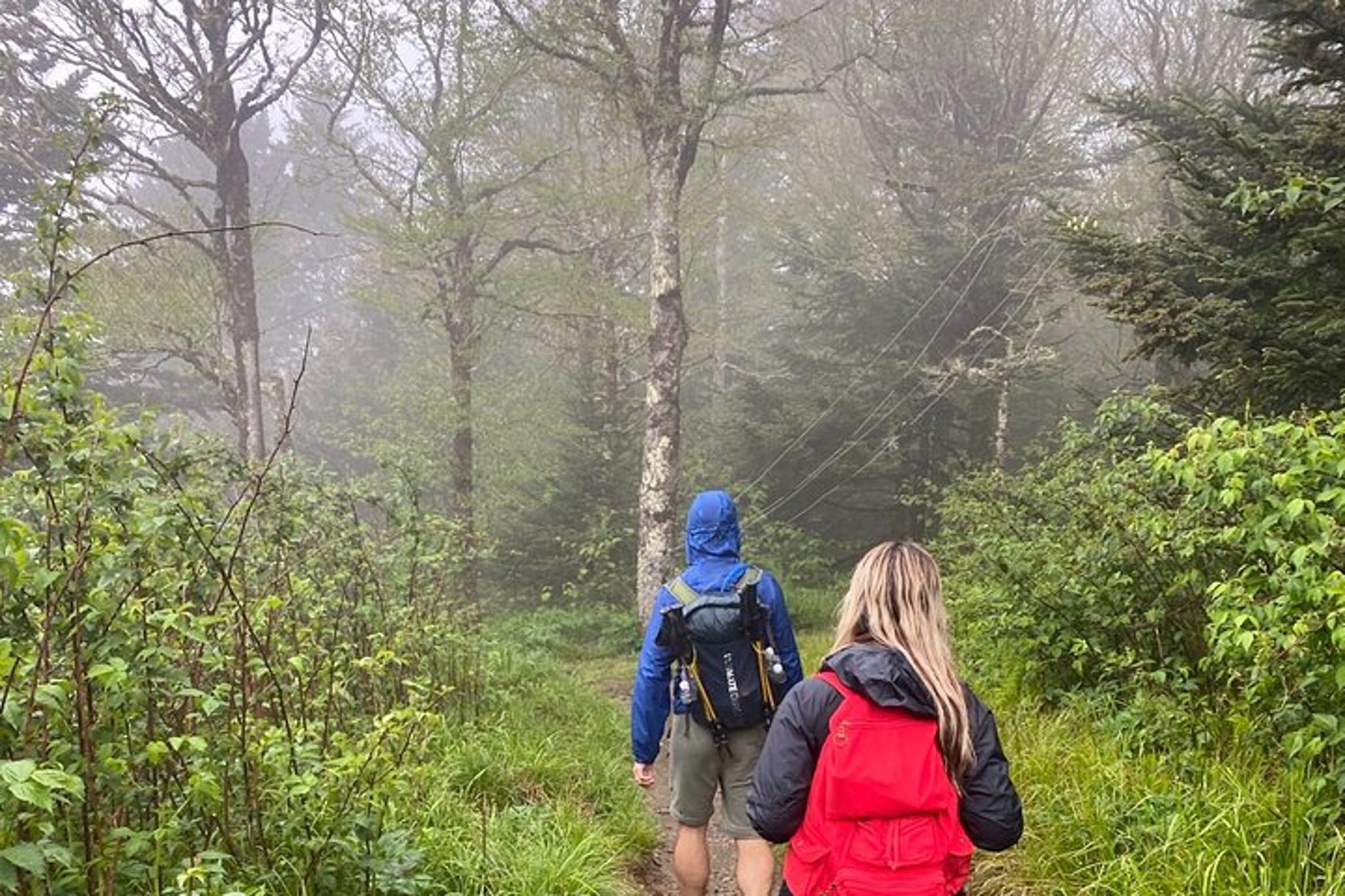Clingmans Dome Hike - Image 4