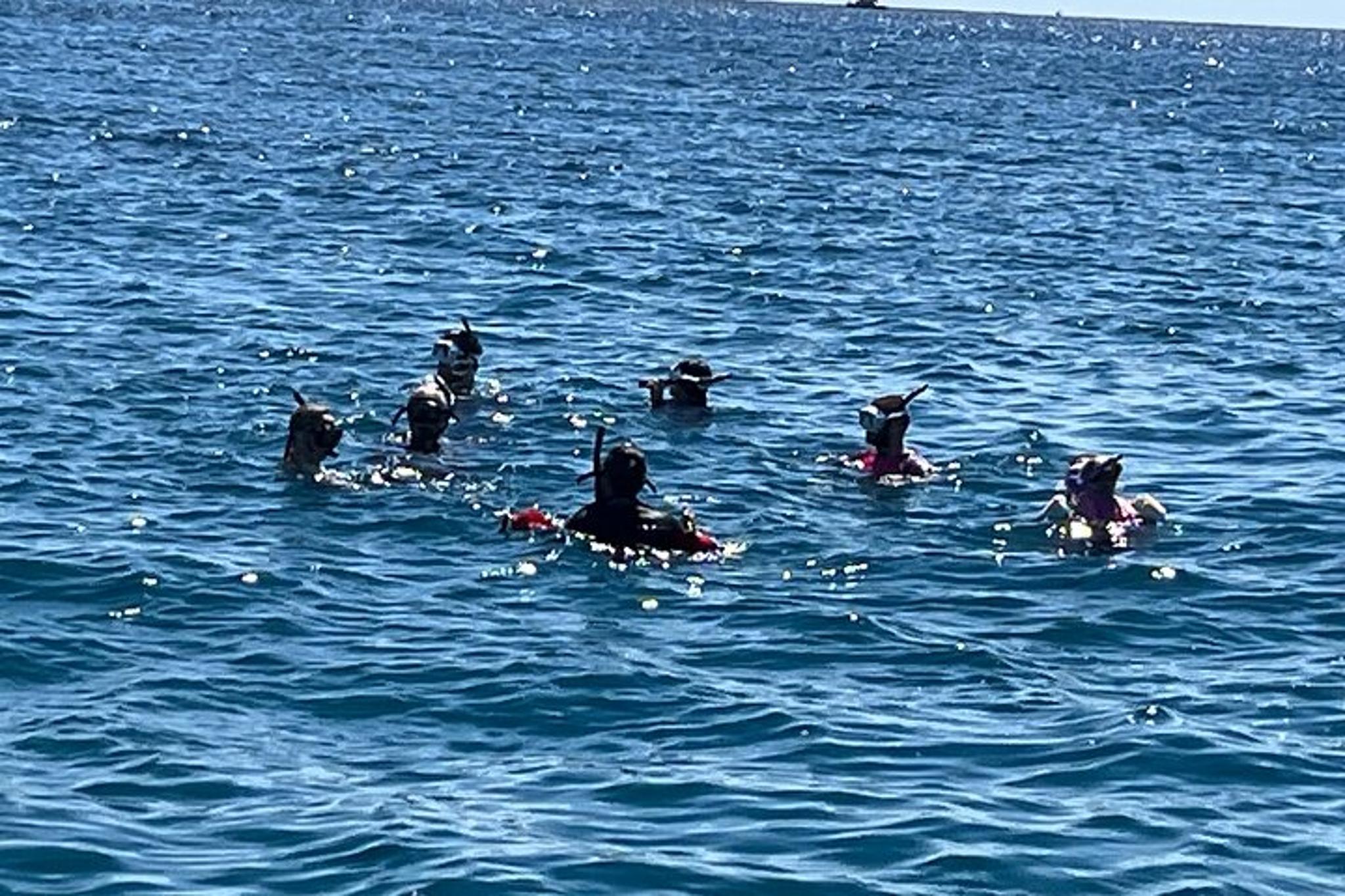 Waikiki Snorkel Charter 3.5 hr - Image 2