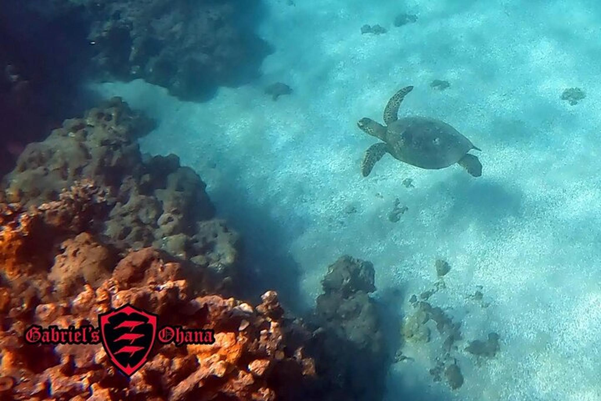 Maui Clear Kayak Tour with Pontoons and Snorkeling - Image 1