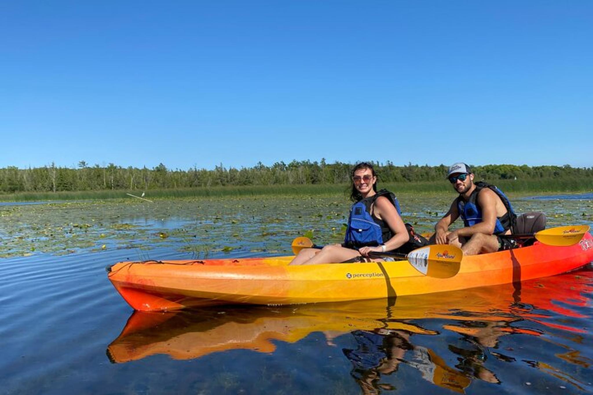Jacksonport Wetlands Kayak Tour - Image 6