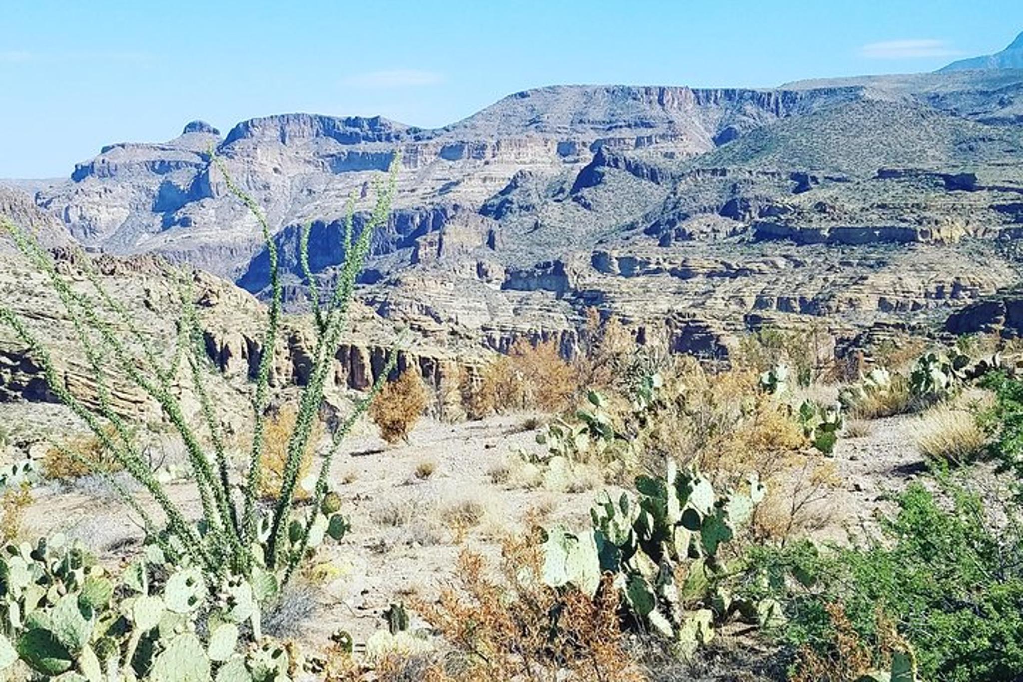 Scottsdale Apache Trail Adventure Tour - Image 5