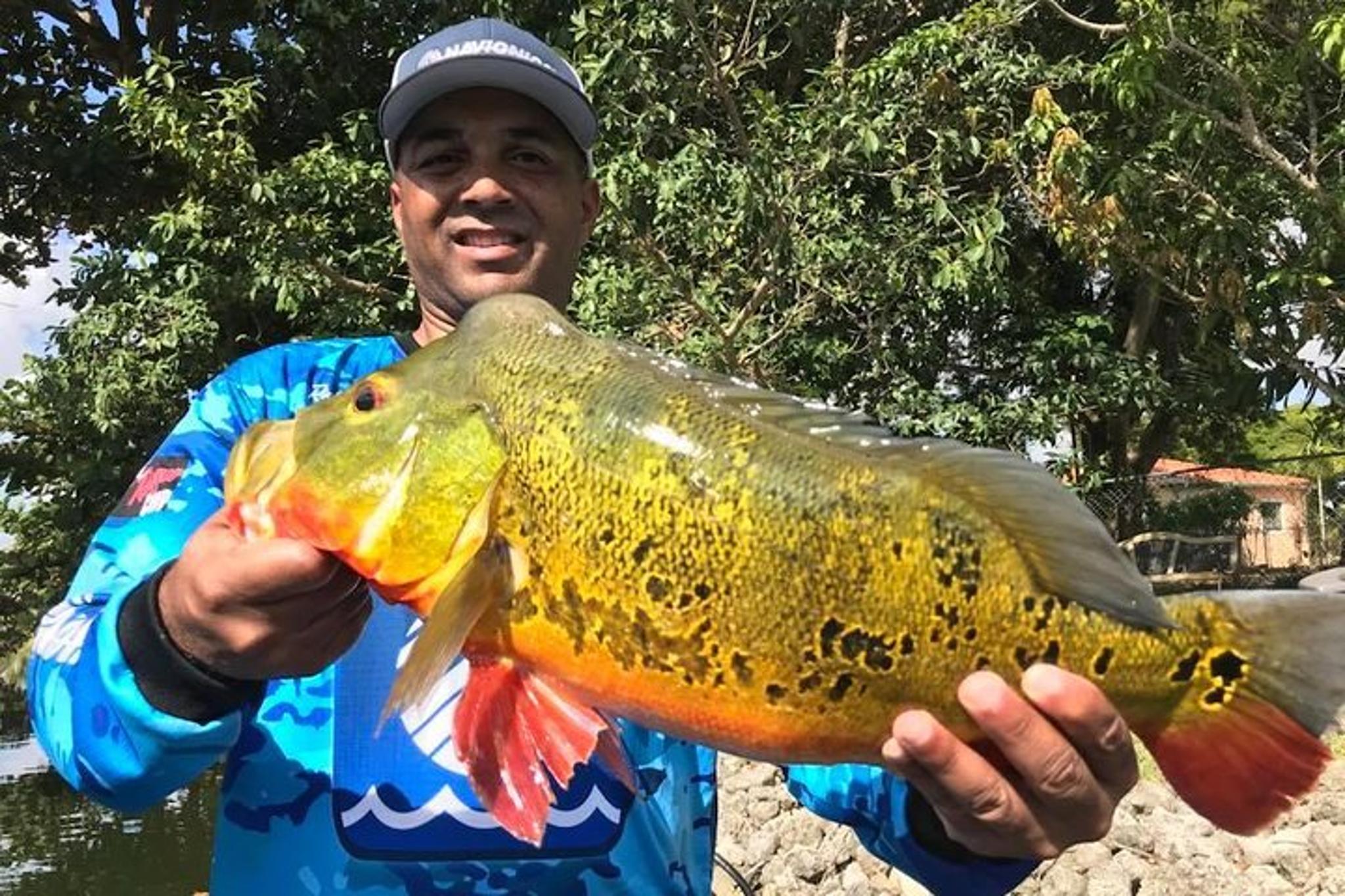 Key Largo Peacock Bass Fishing Trip - Image 3