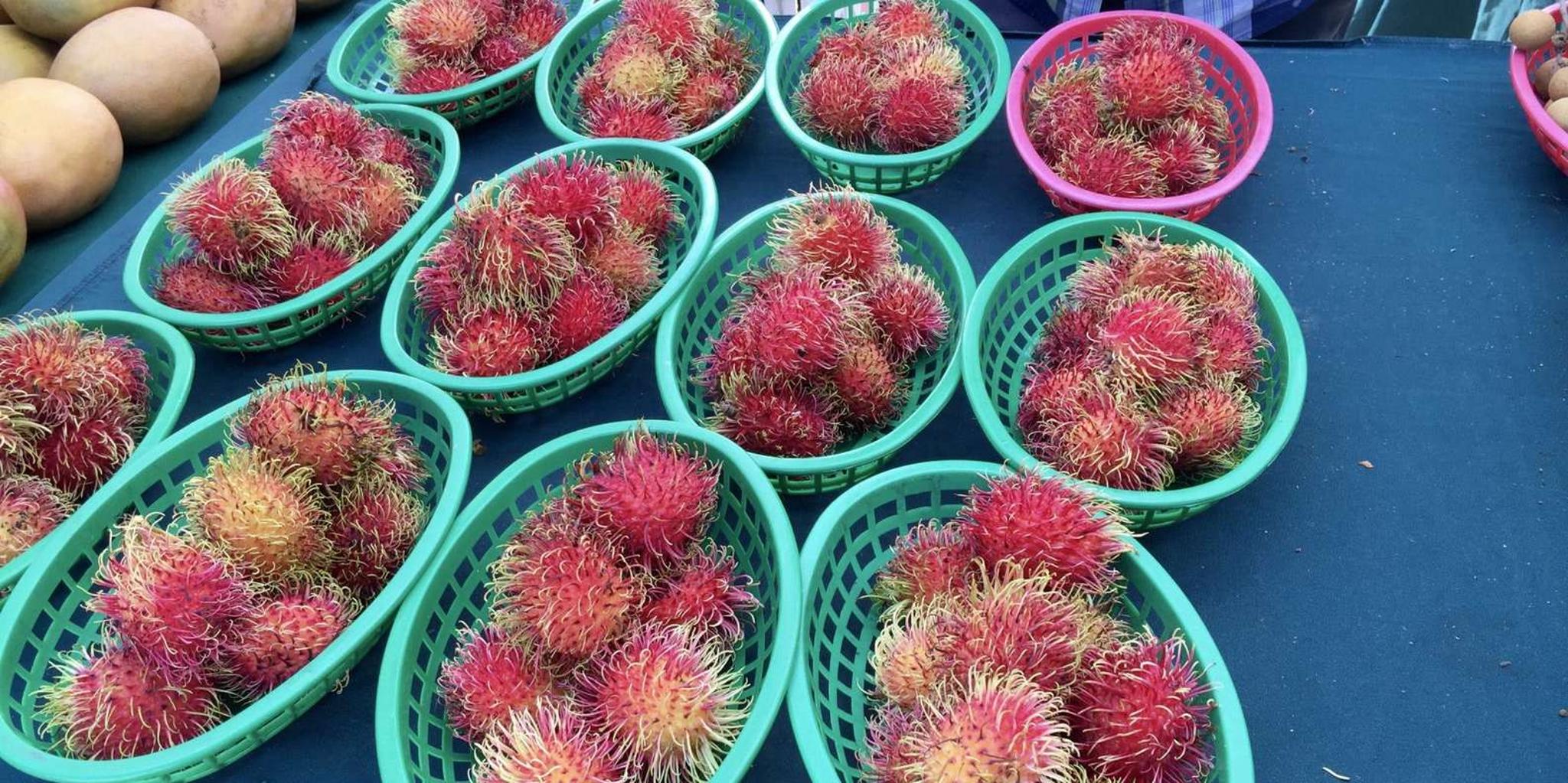 West Palm Beach Market Food Tour - Image 2