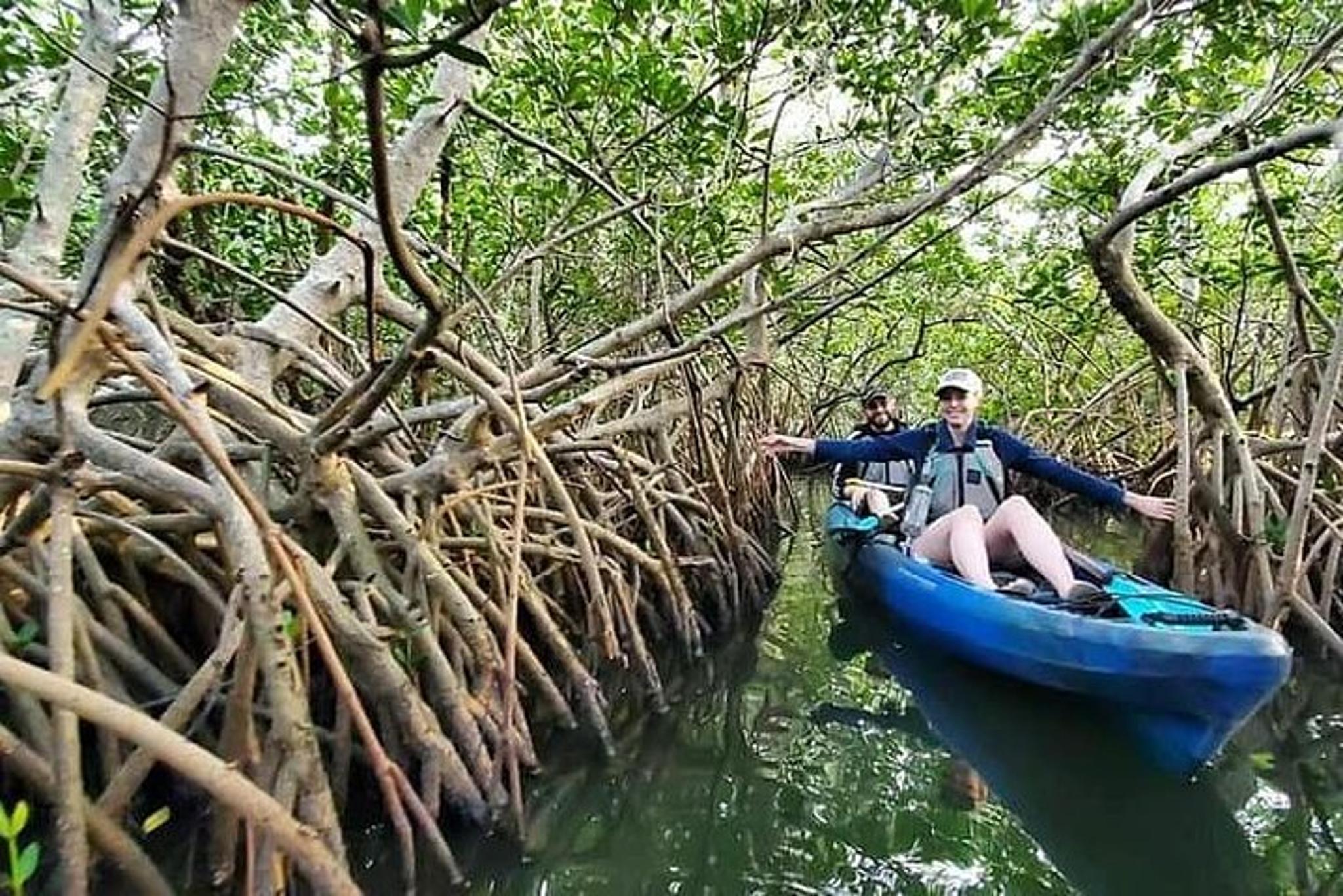 Cocoa Beach Mangrove Tunnel Kayak Tour - Image 2