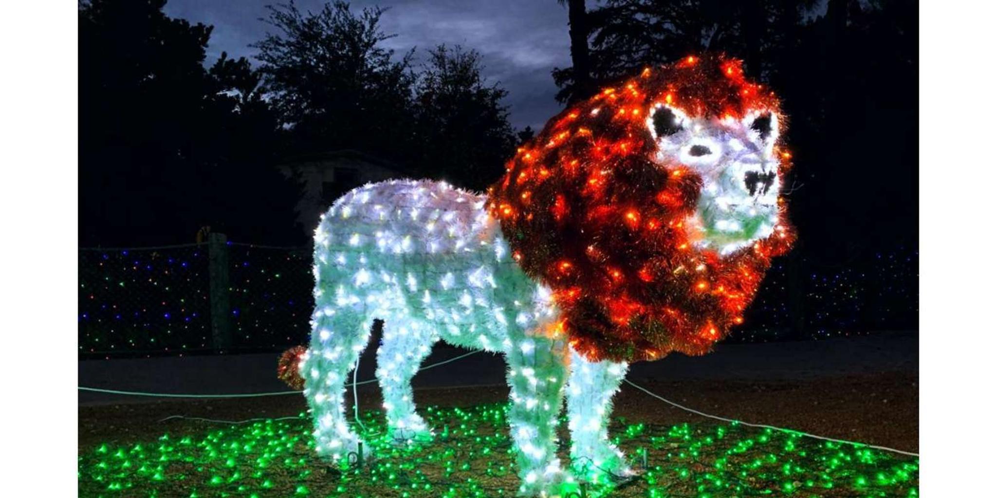 San Antonio Zoo Admission Ticket