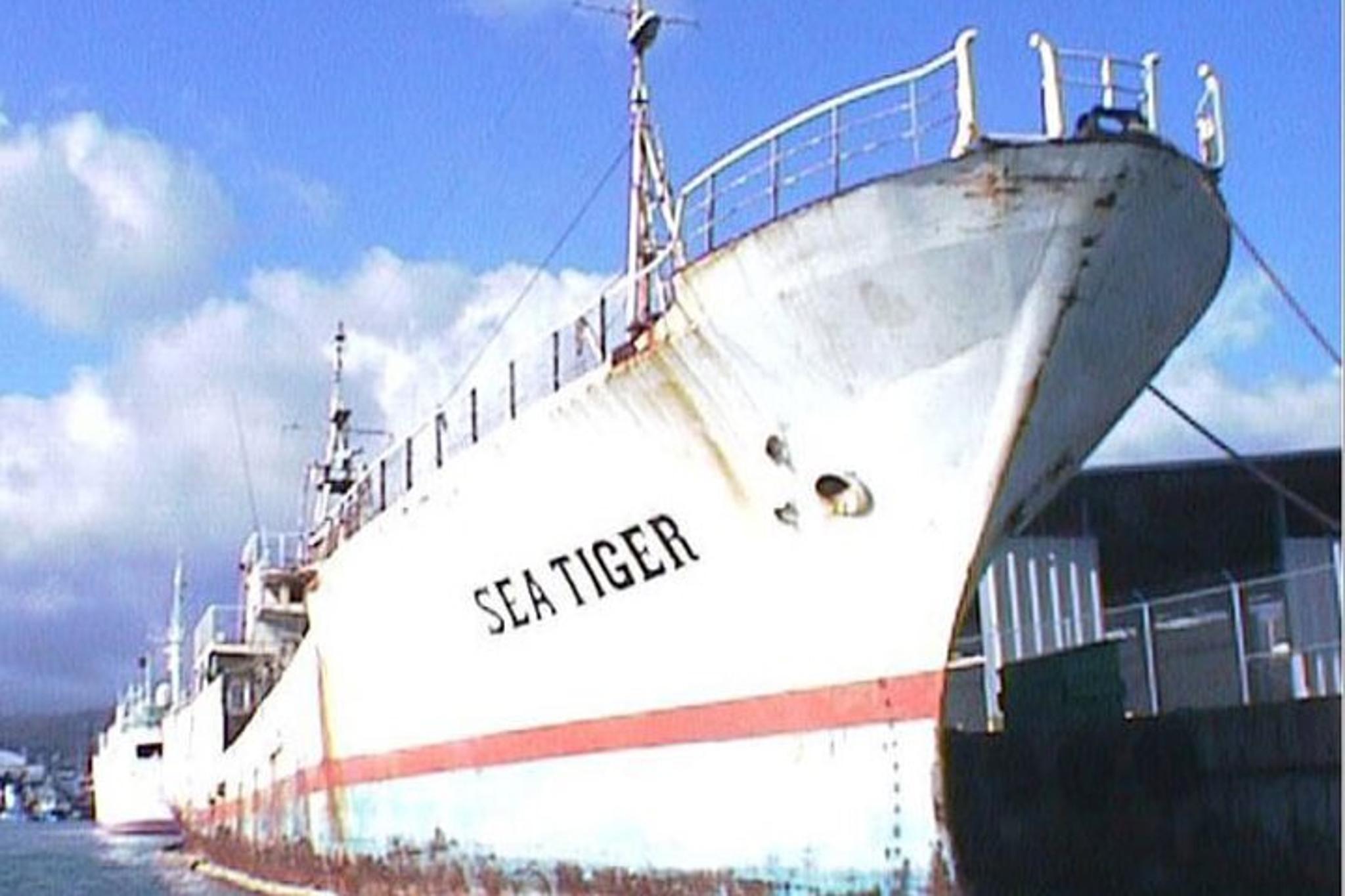 Waikiki Wreck and Reef Dive - Image 4