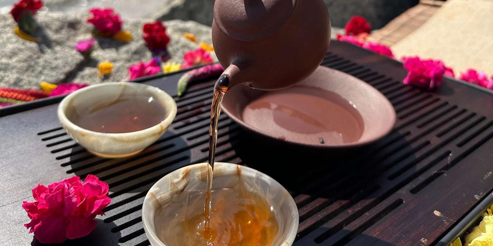Santa Barbara Nature Trail Hike and Tea Ceremony