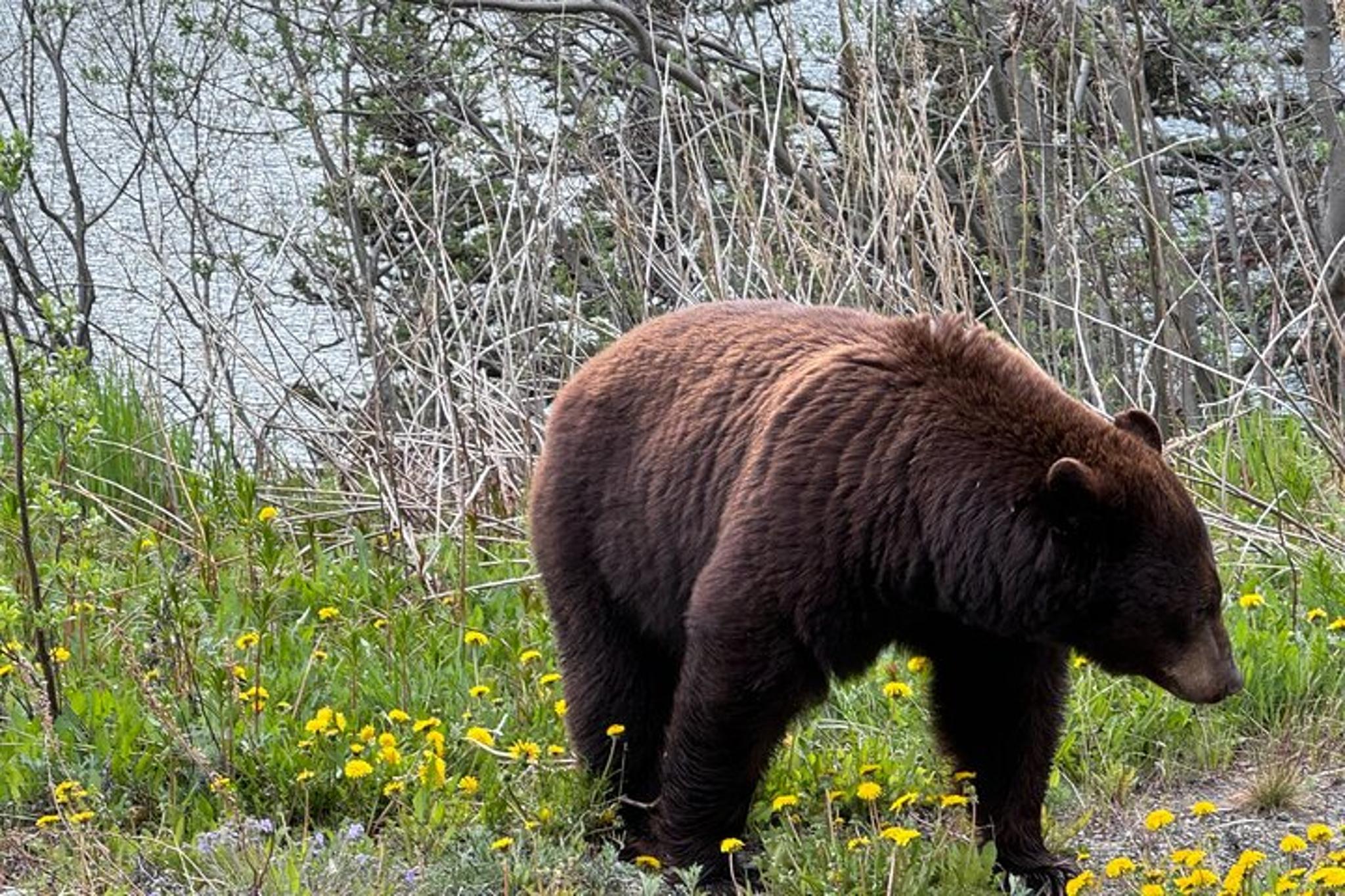 Skagway Photography Tour at Magic Hour - Image 4