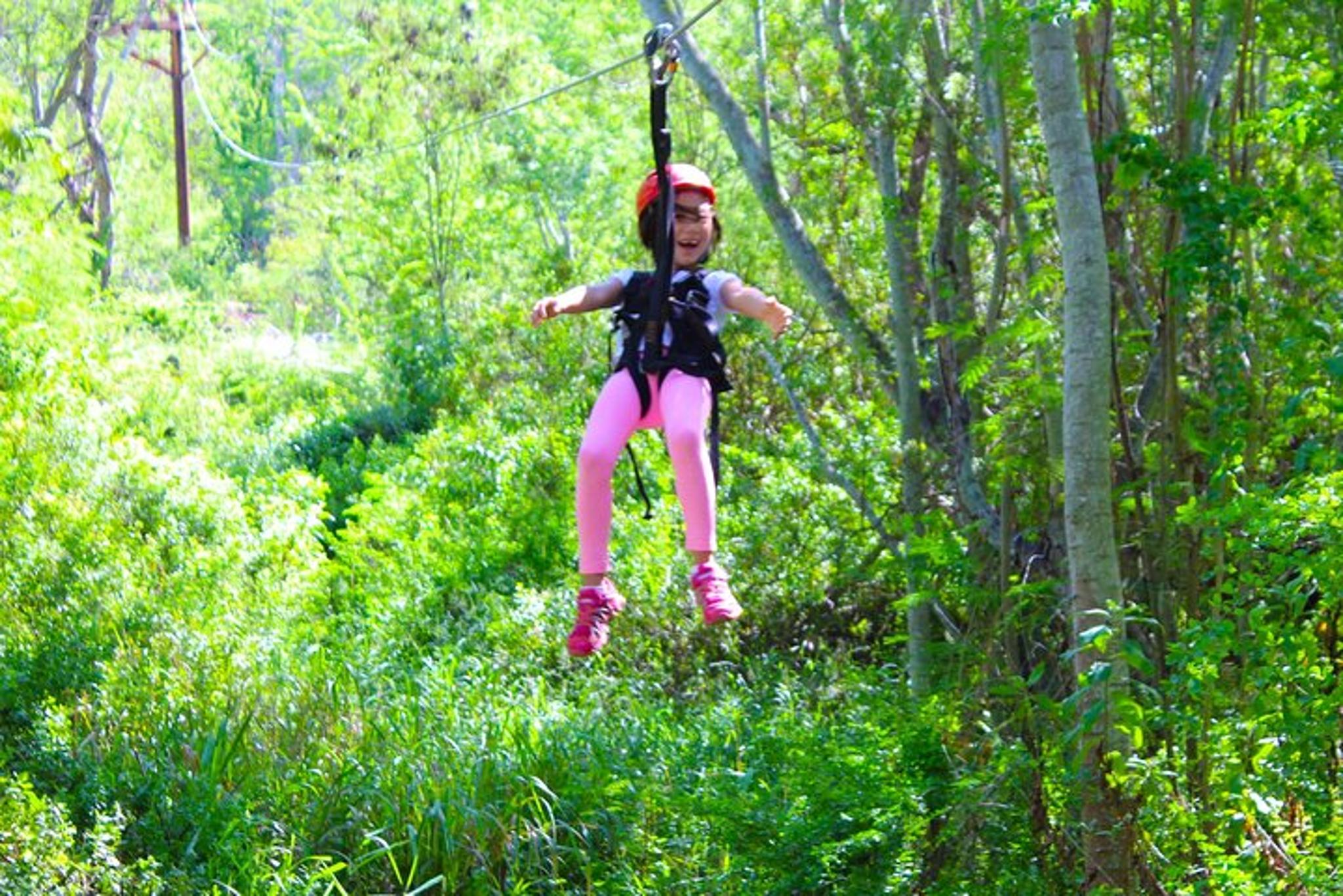 Oahu Zipline and Waterpark Adventure - Image 4