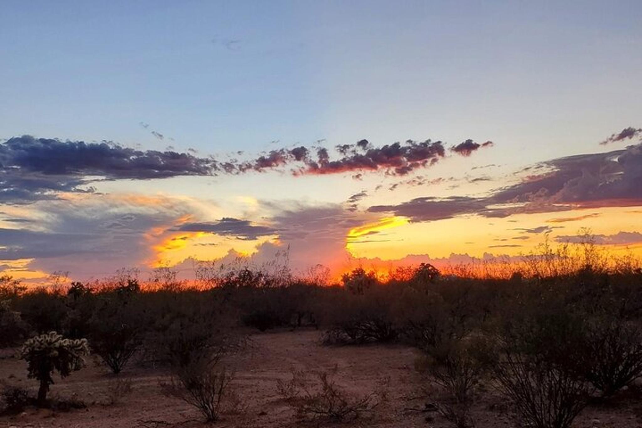 Sonoran Desert Exploration - Image 4