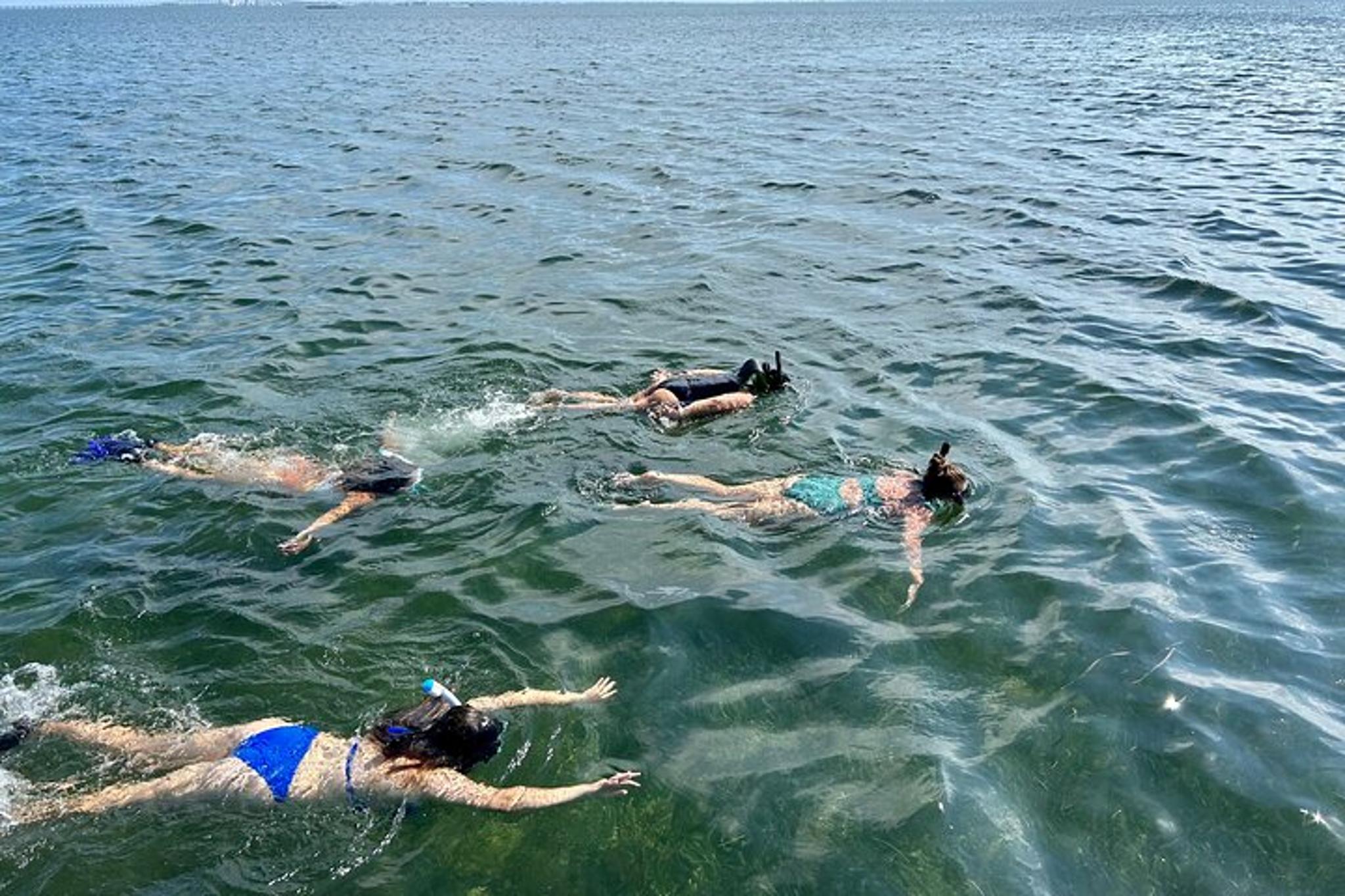 South Padre Island Snorkeling Excursion - Image 2